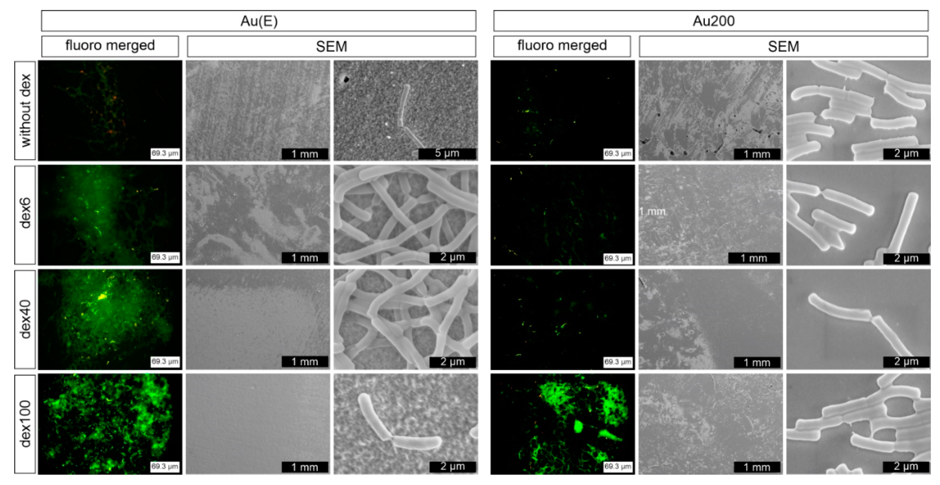 Nanomaterials 10 02499 g008 Nanomaterials 10 02499 g008