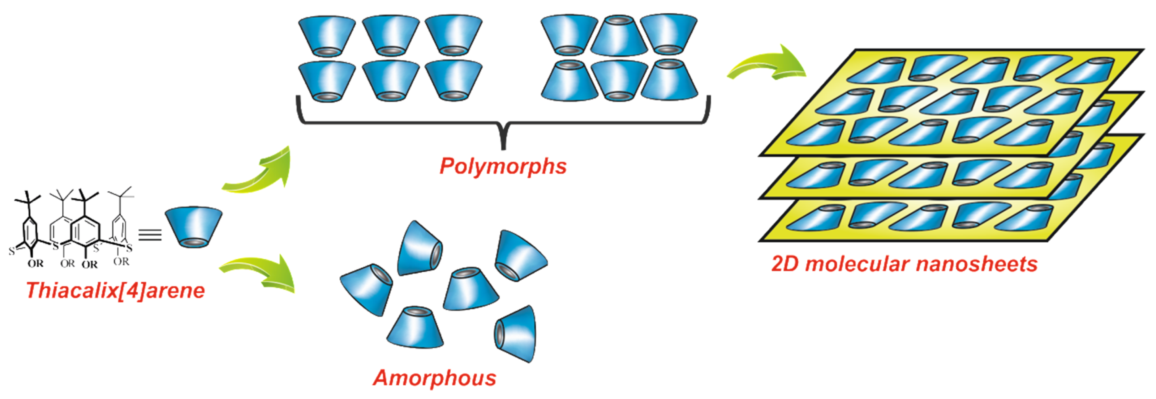 Nanomaterials 10 02505 g001