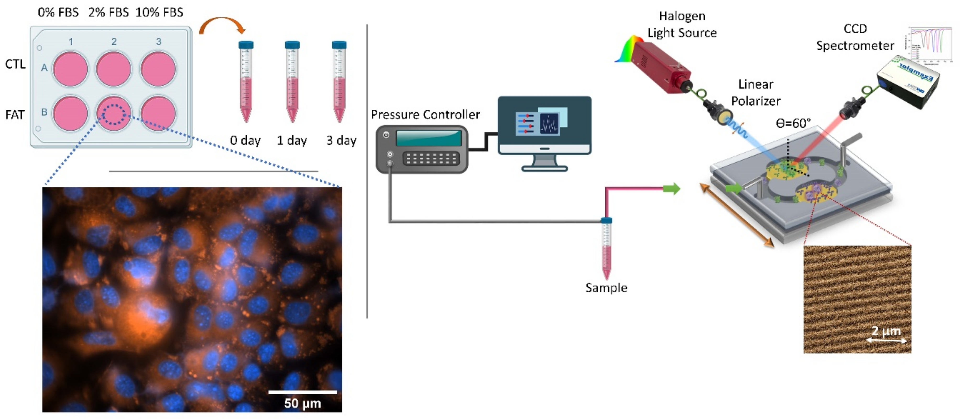Nanomaterials 10 02520 g001 Nanomaterials 10 02520 g001