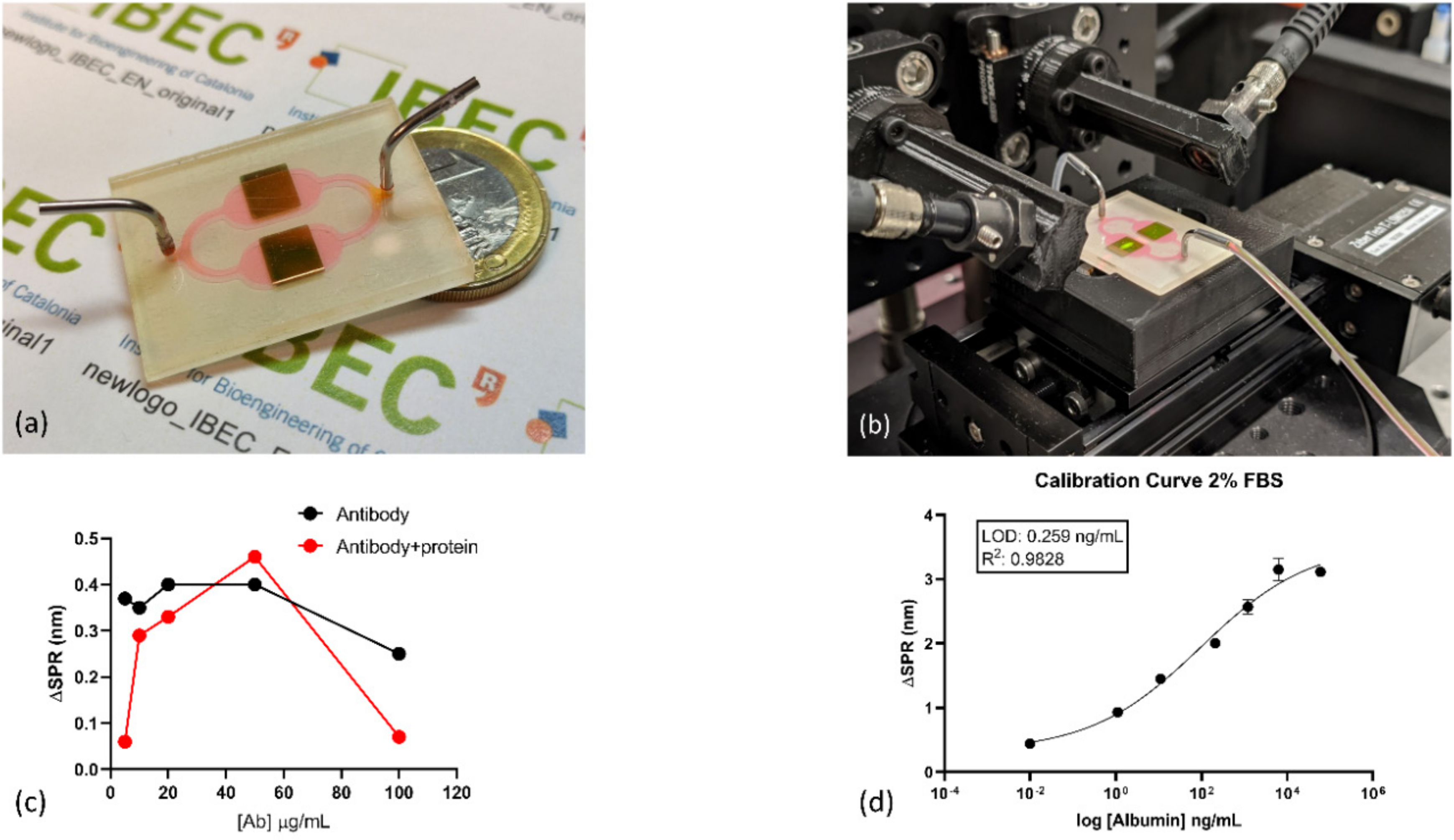 Nanomaterials 10 02520 g004 Nanomaterials 10 02520 g004