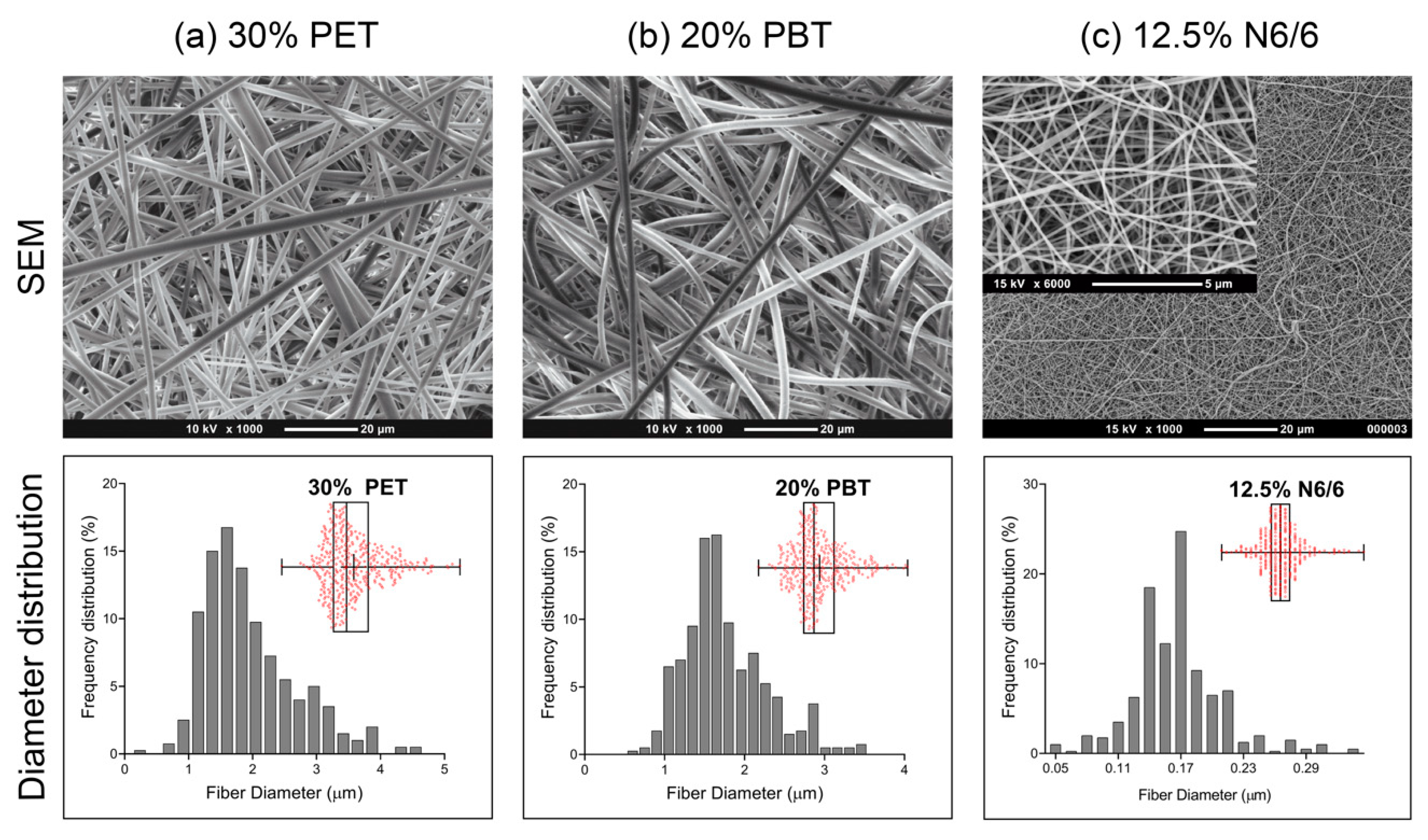 Nanomaterials 10 02528 g001