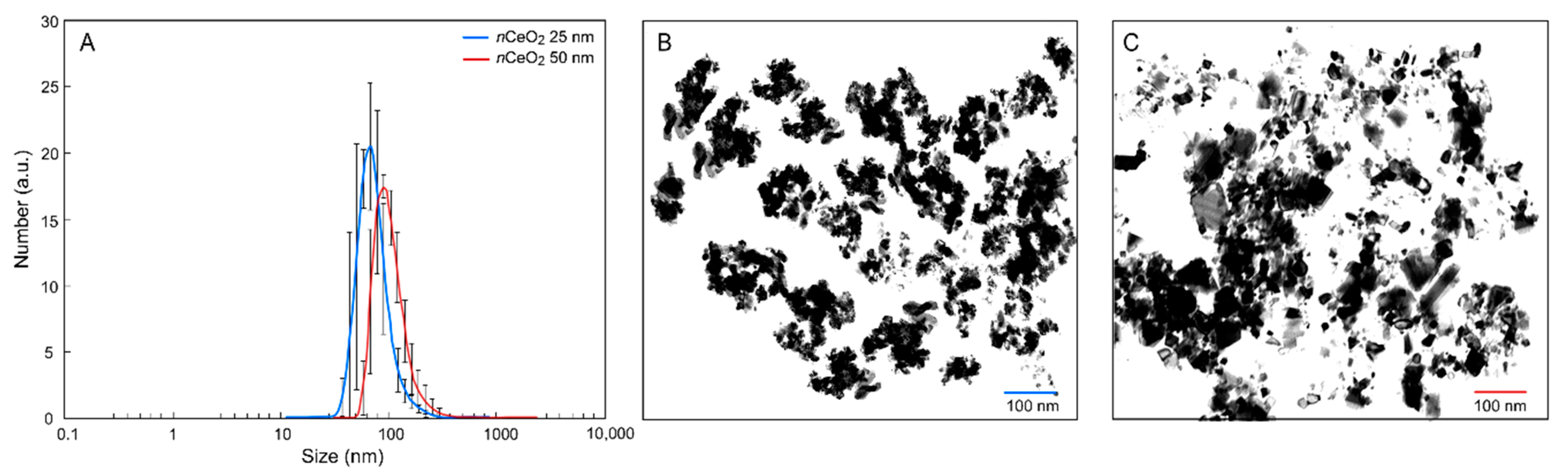 Nanomaterials 10 02534 g001
