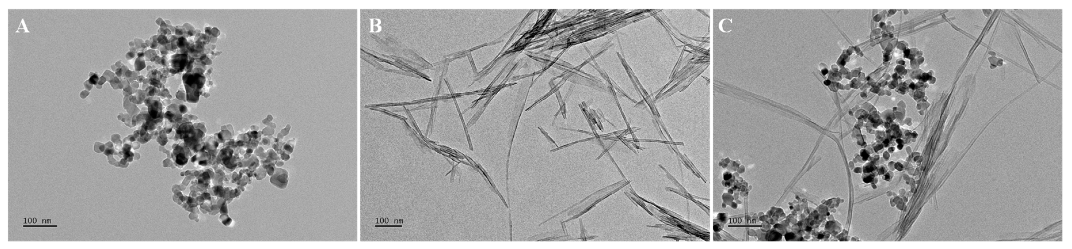 Nanomaterials 10 02559 g001