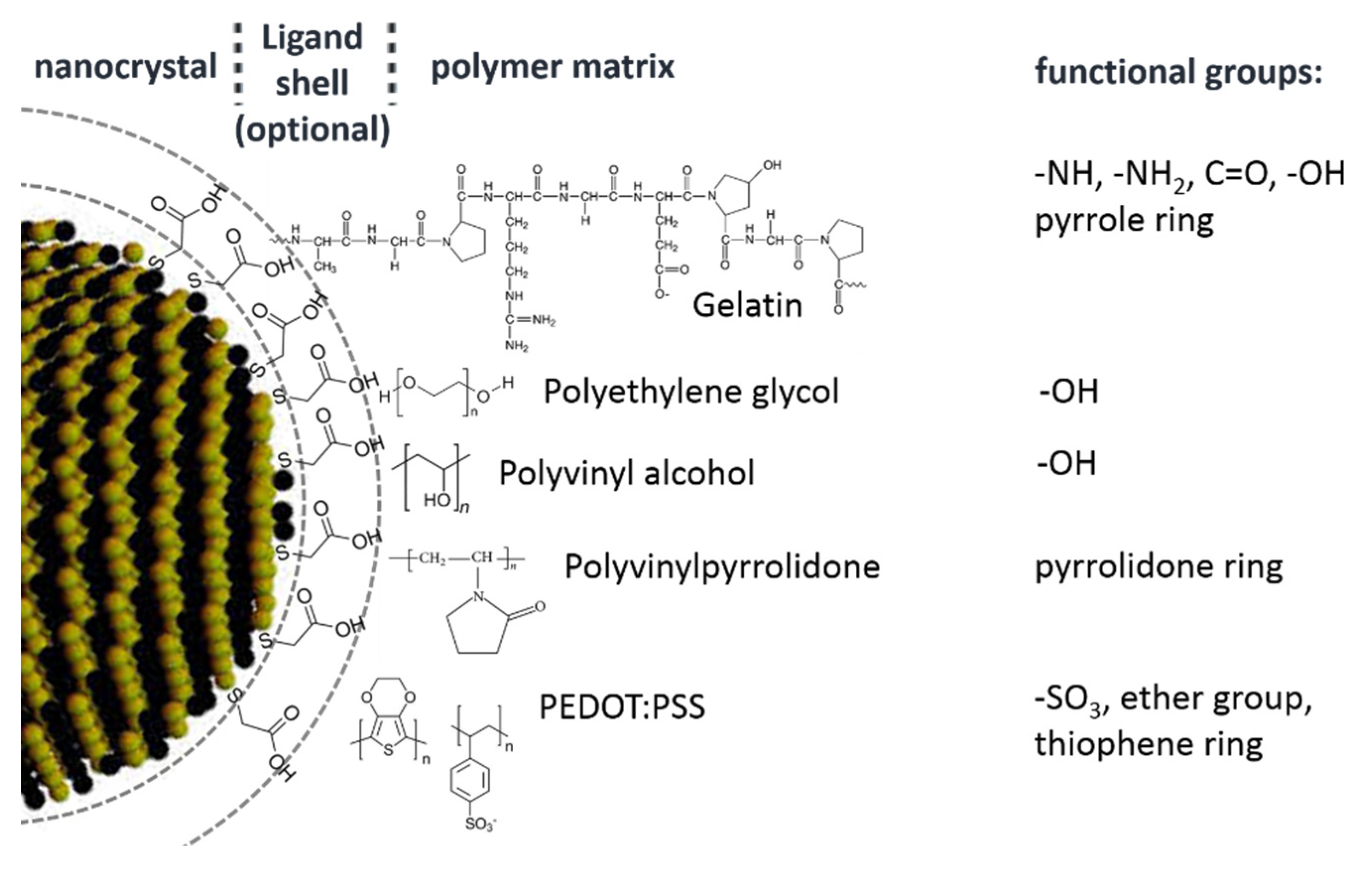 Nanomaterials 10 02565 g013
