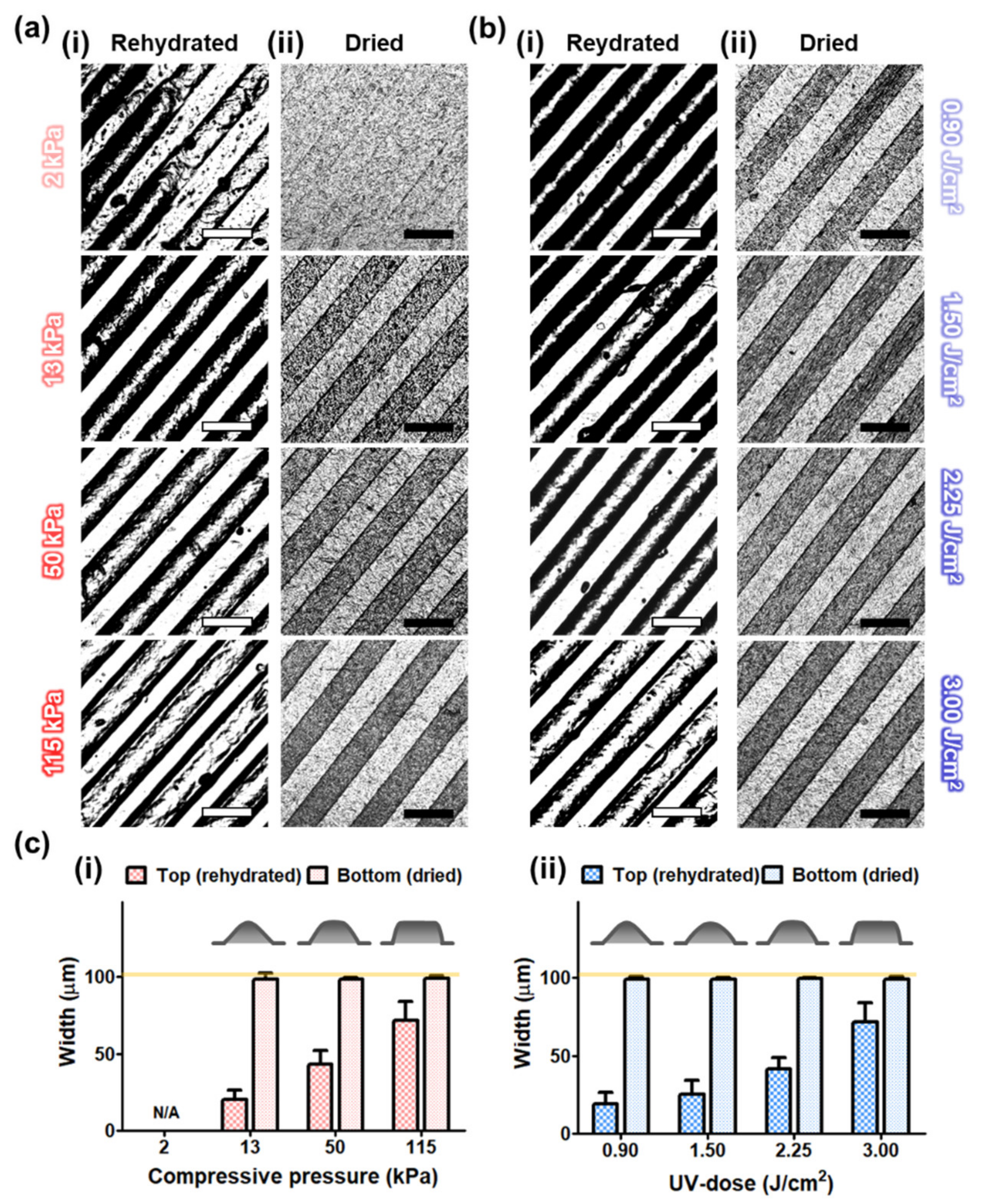 Nanomaterials 10 02574 g002