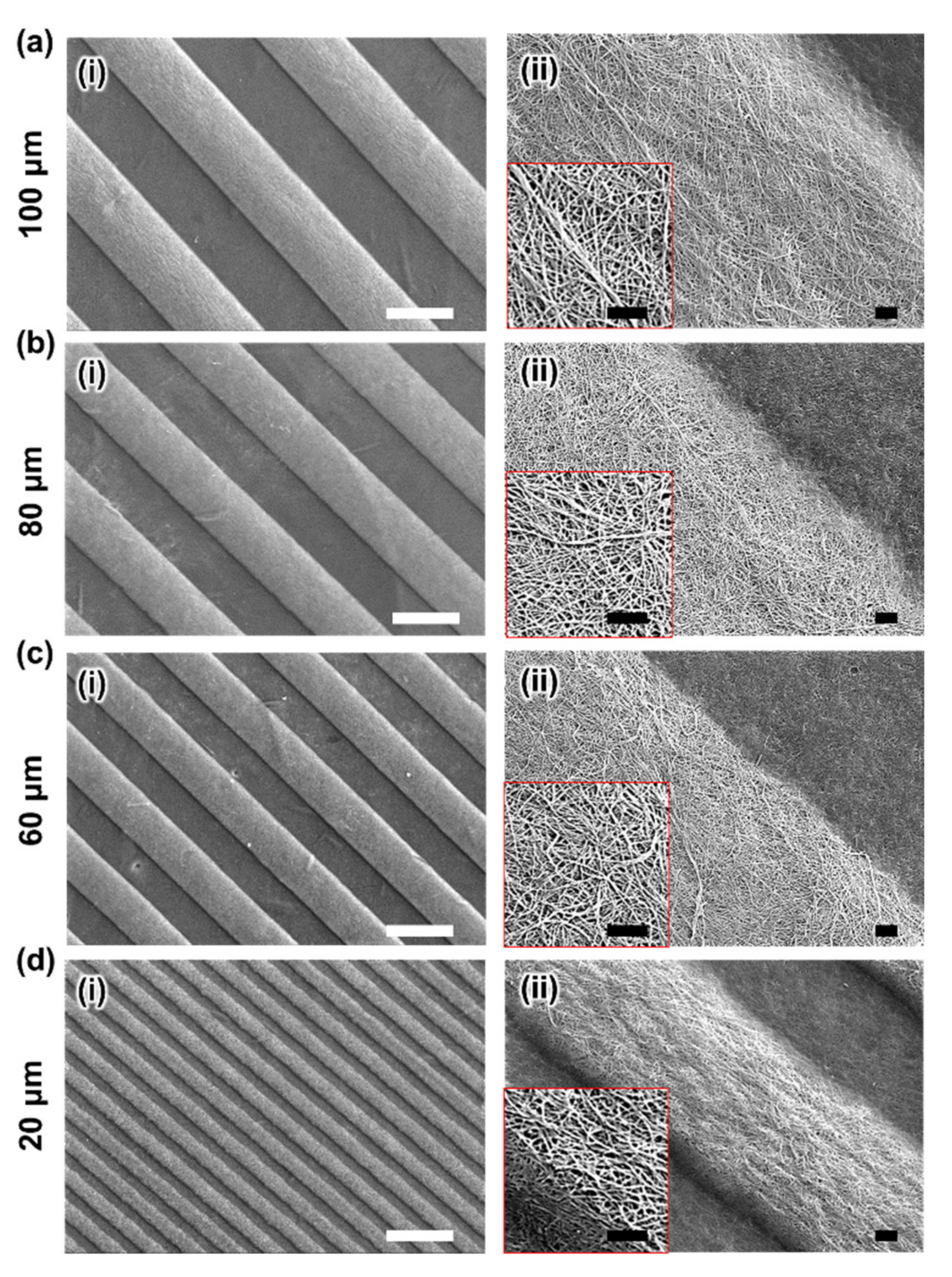 Nanomaterials 10 02574 g003