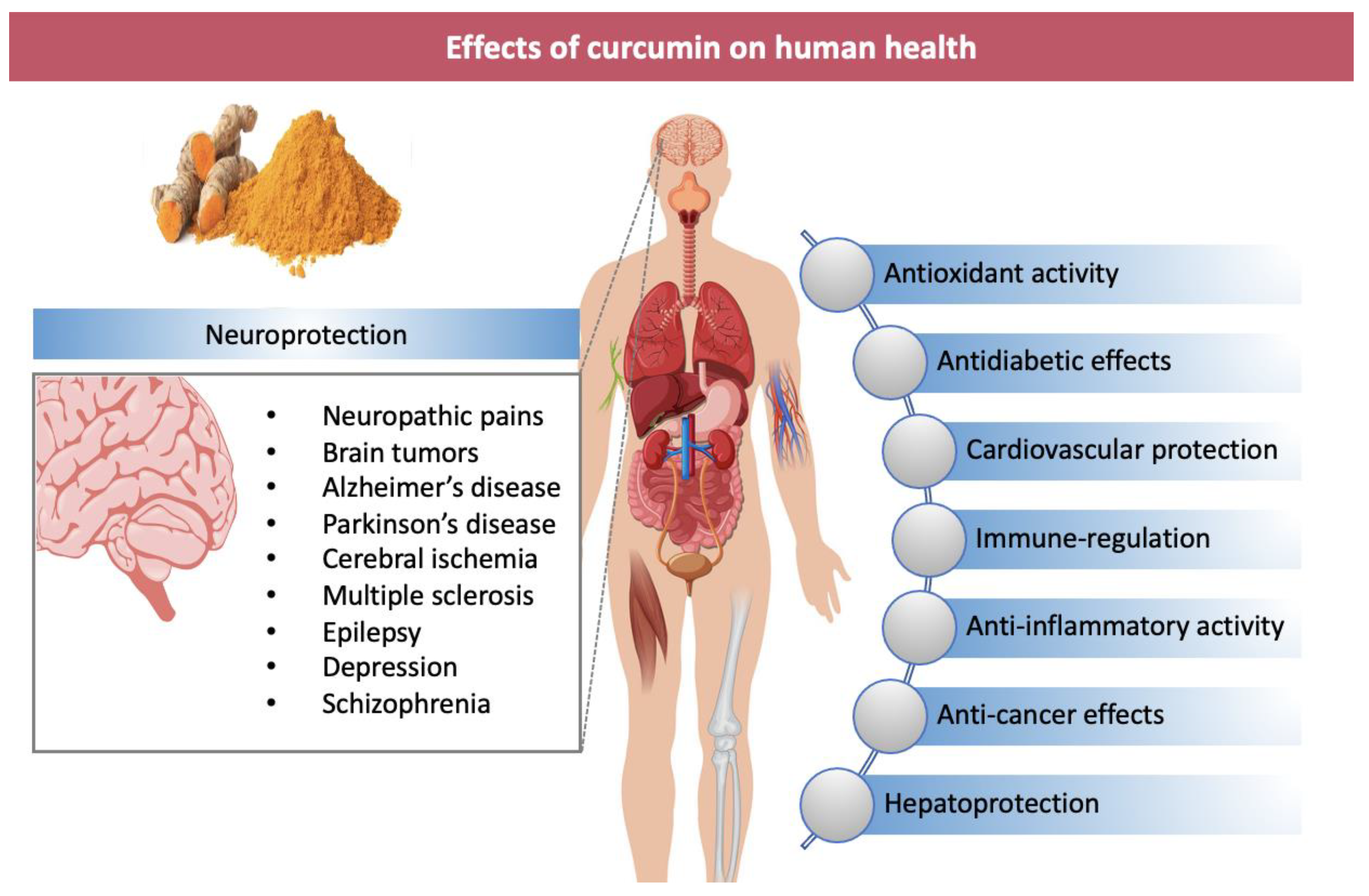 Nanomaterials 11 00002 g001