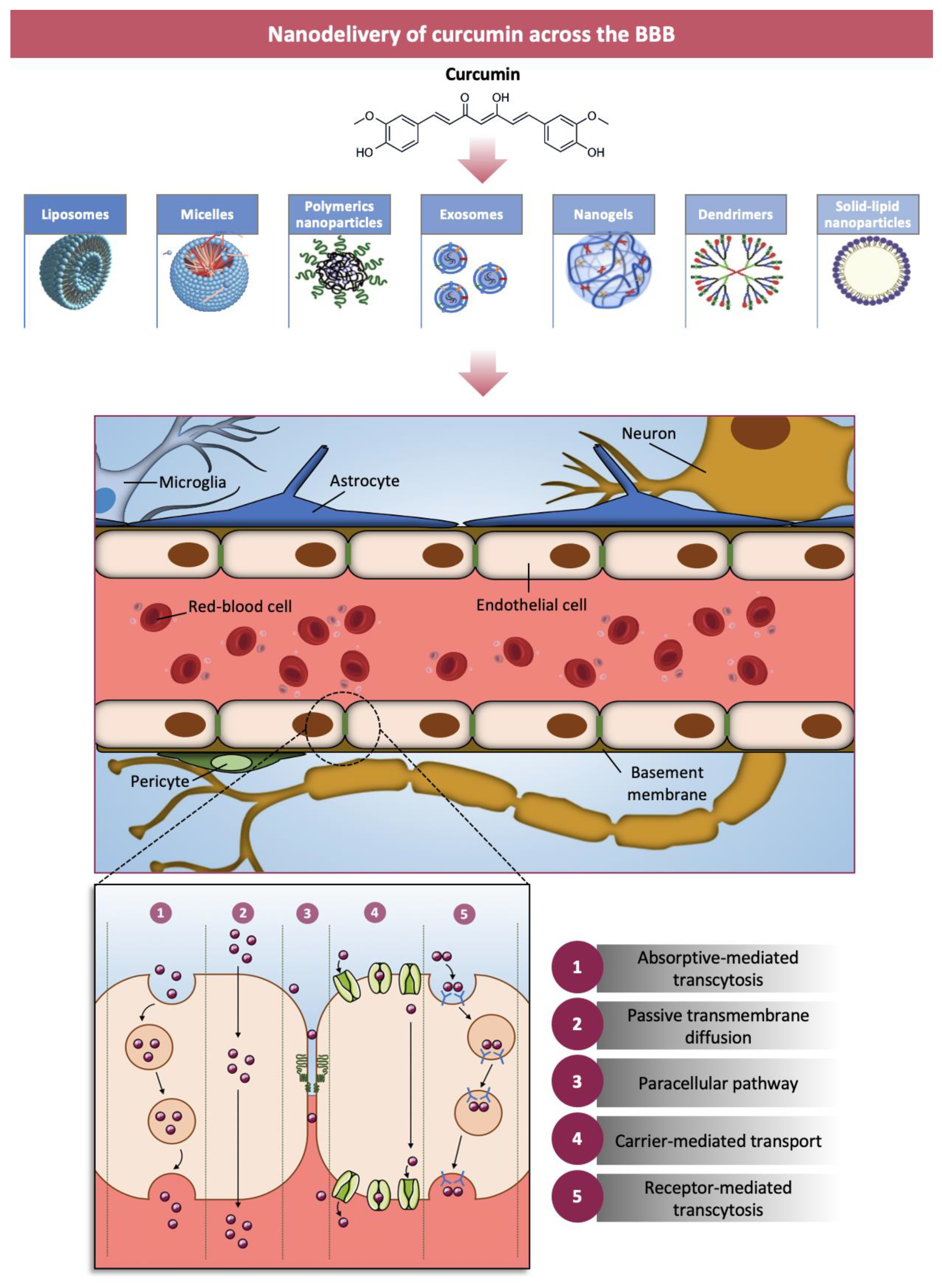 Nanomaterials 11 00002 g002