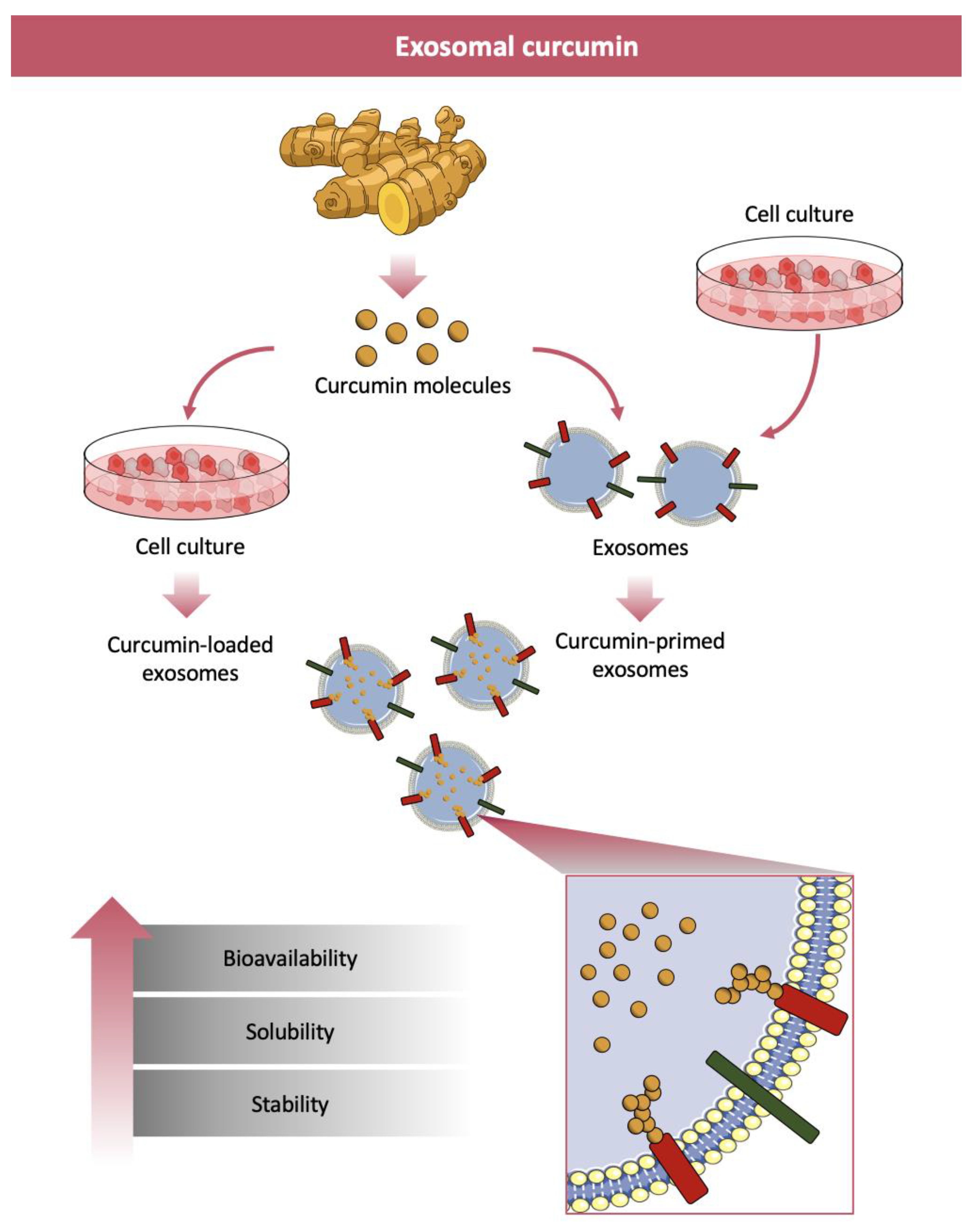 Nanomaterials 11 00002 g003