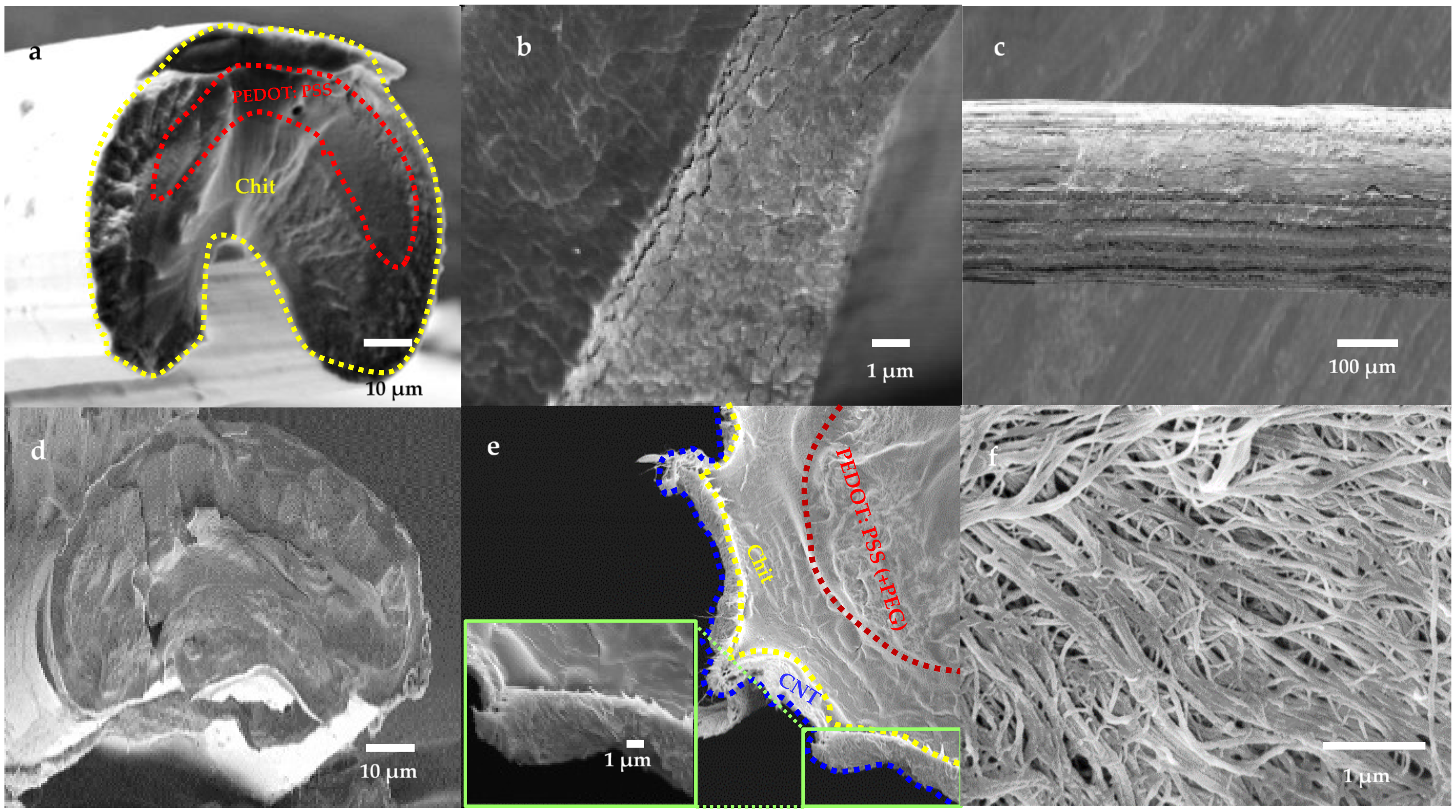 Nanomaterials 11 00003 g006