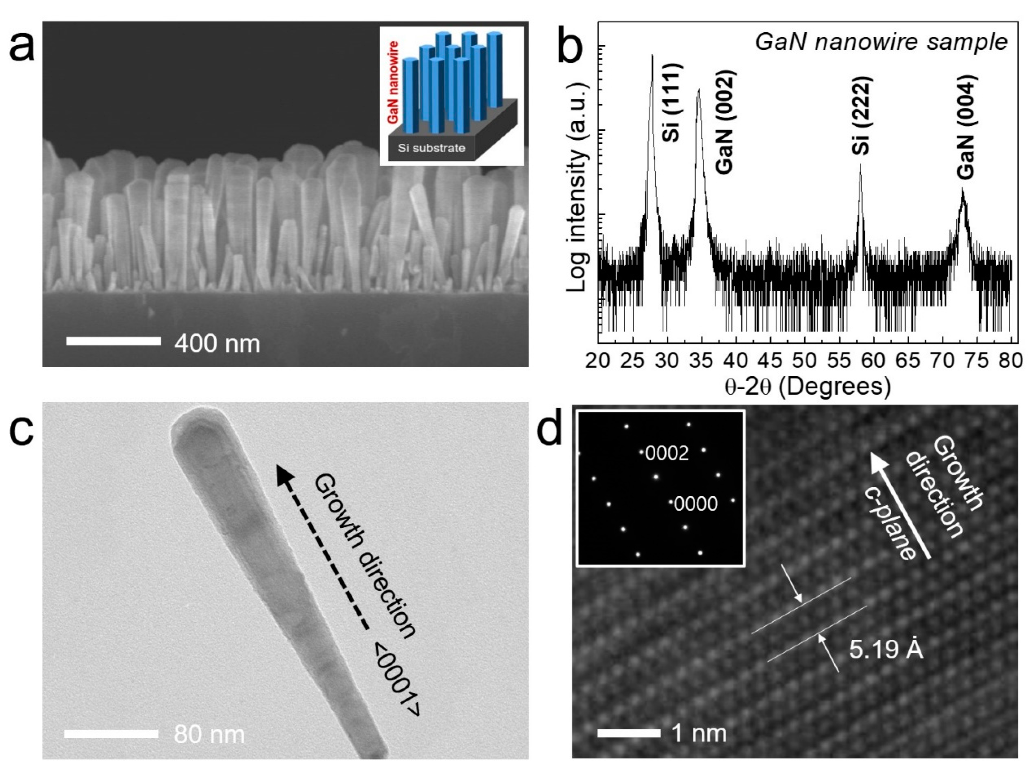 Nanomaterials 11 00009 g001