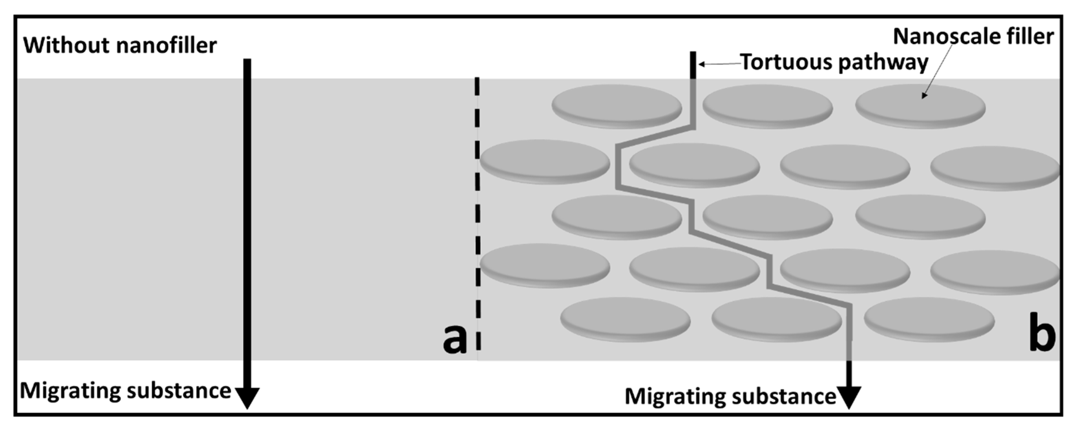 Nanomaterials 11 00010 g004