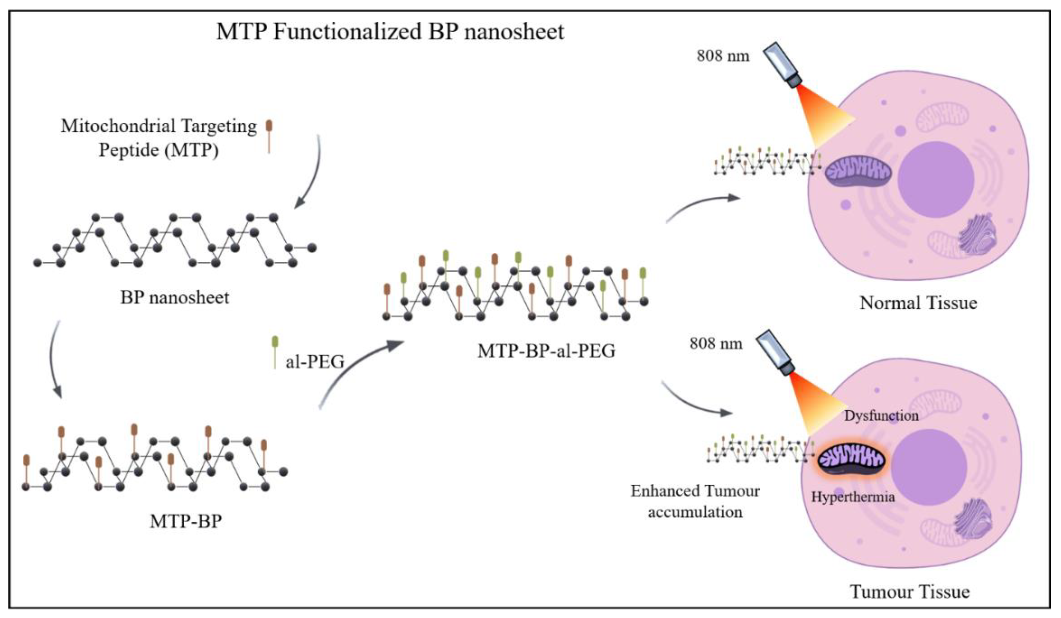 Nanomaterials 11 00013 g002 Nanomaterials 11 00013 g002