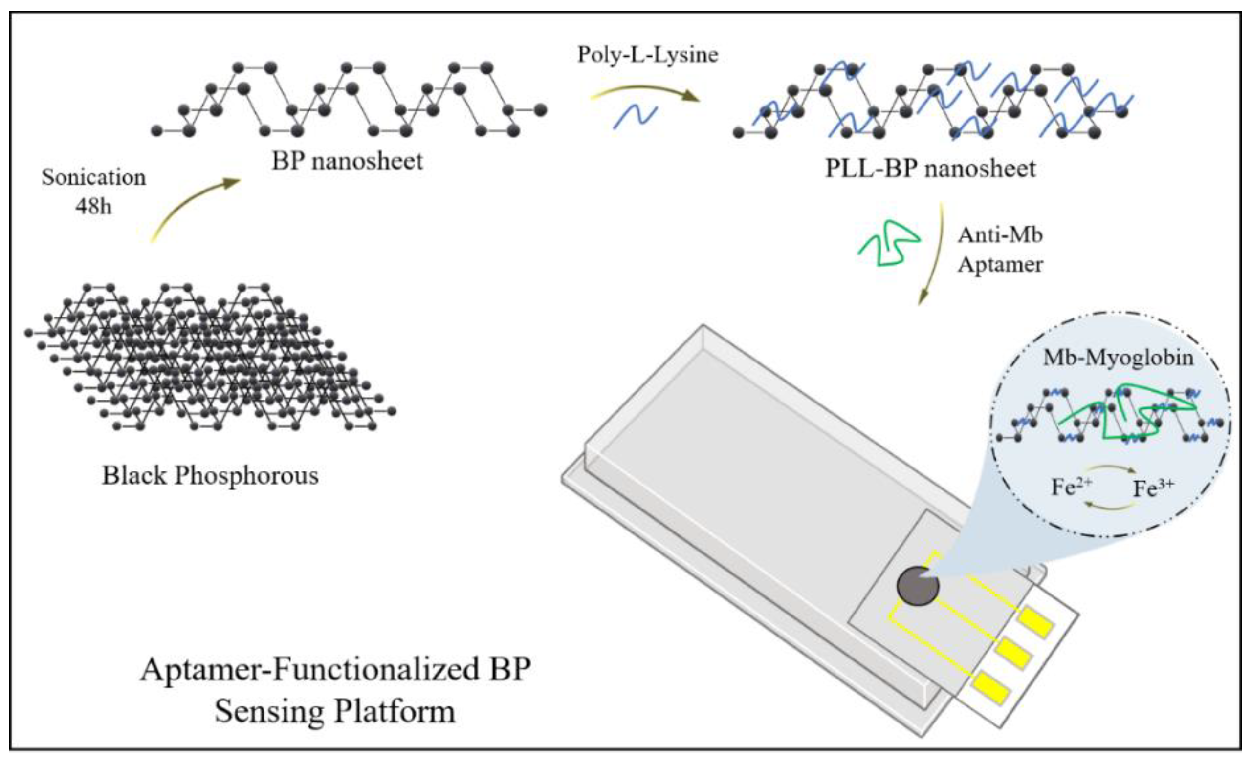 Nanomaterials 11 00013 g004 Nanomaterials 11 00013 g004