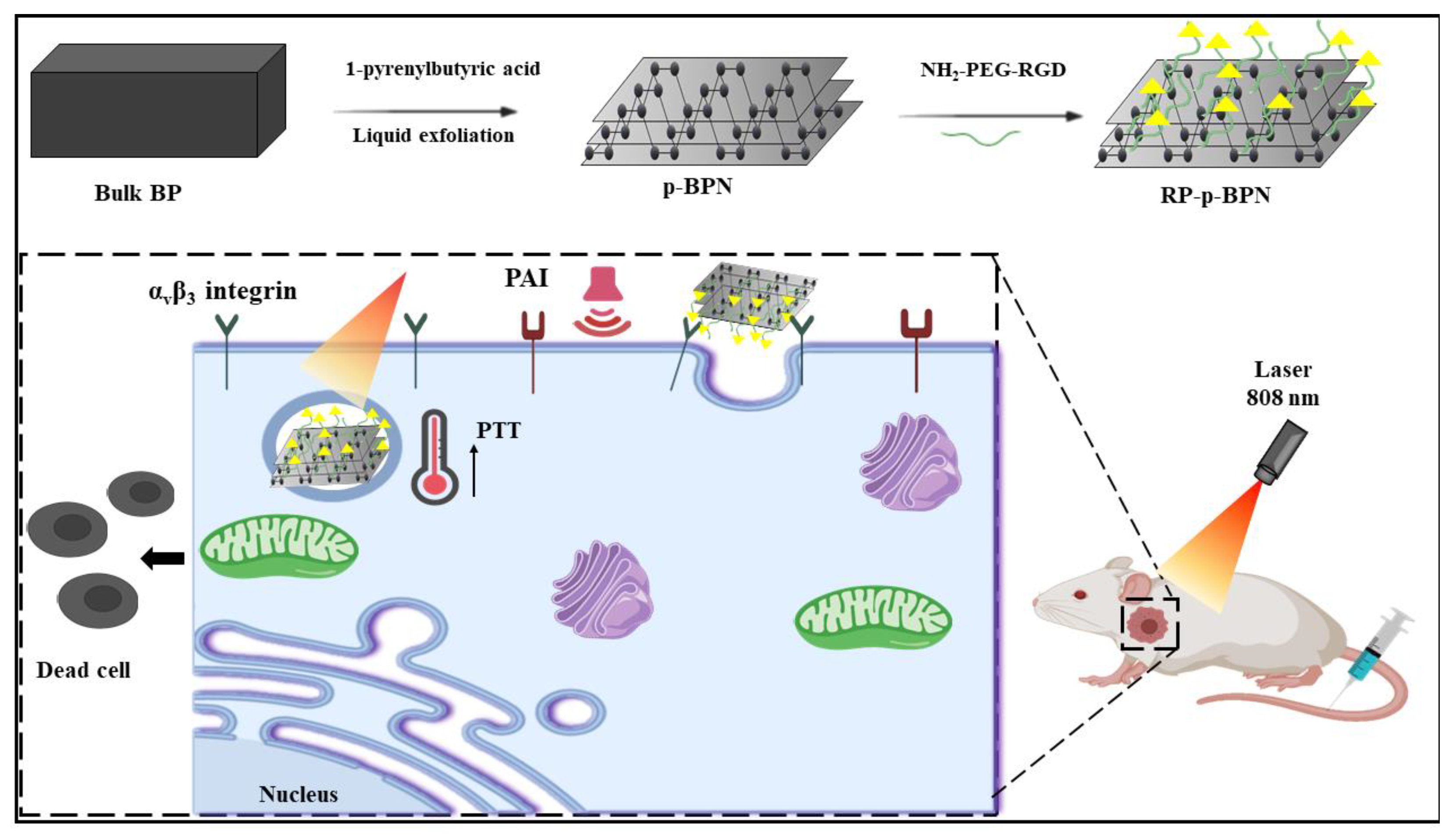 Nanomaterials 11 00013 g007 Nanomaterials 11 00013 g007