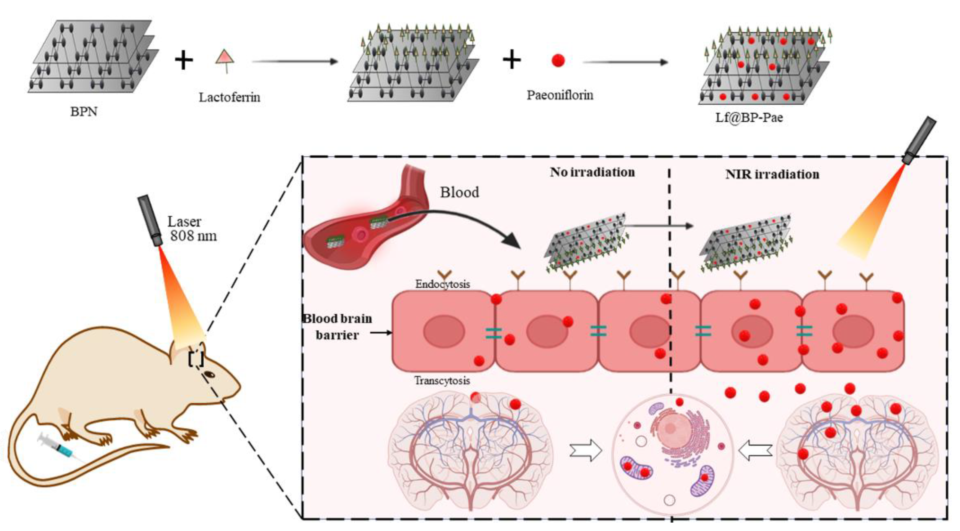 Nanomaterials 11 00013 g009 Nanomaterials 11 00013 g009