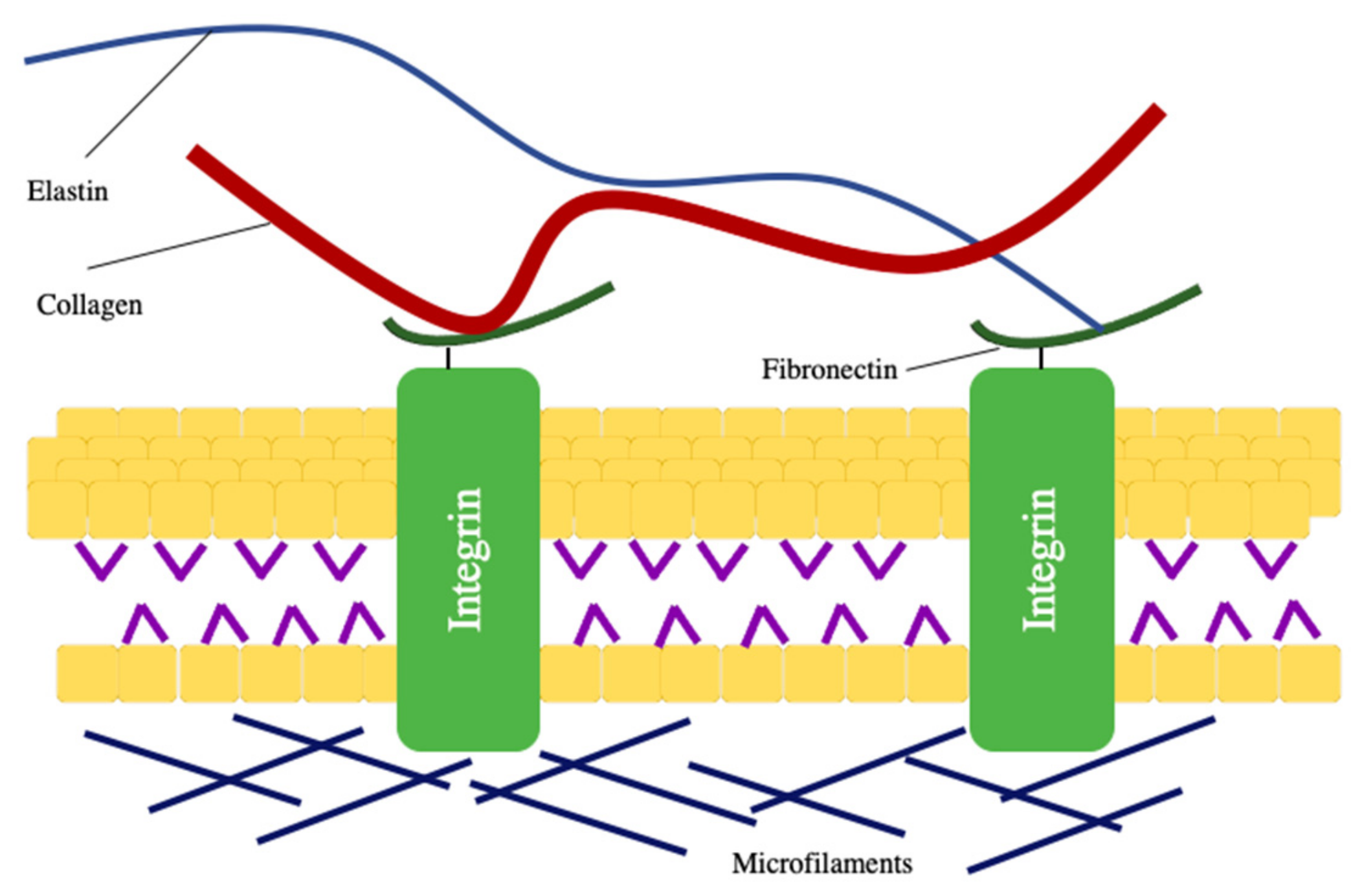 Nanomaterials 11 00021 g001