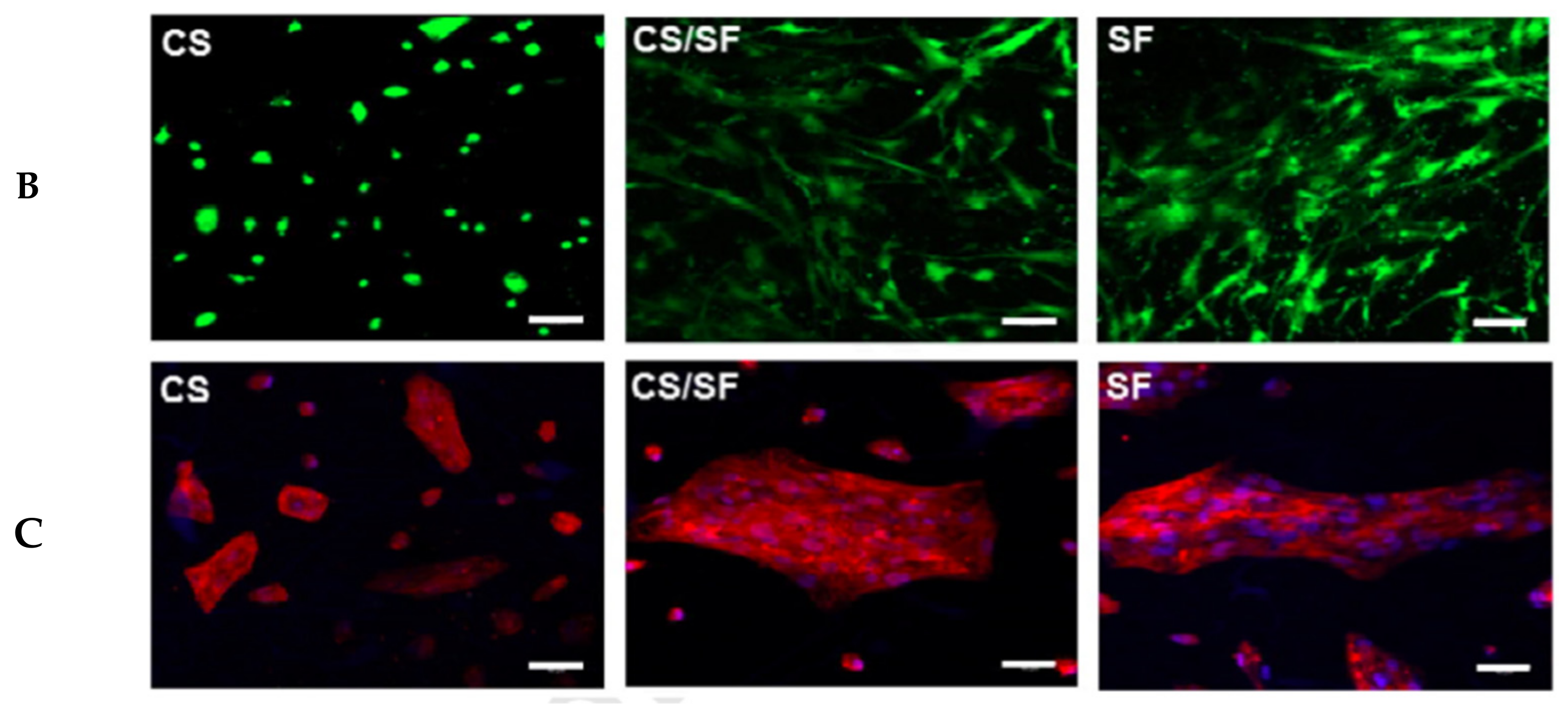 Nanomaterials 11 00021 g004b