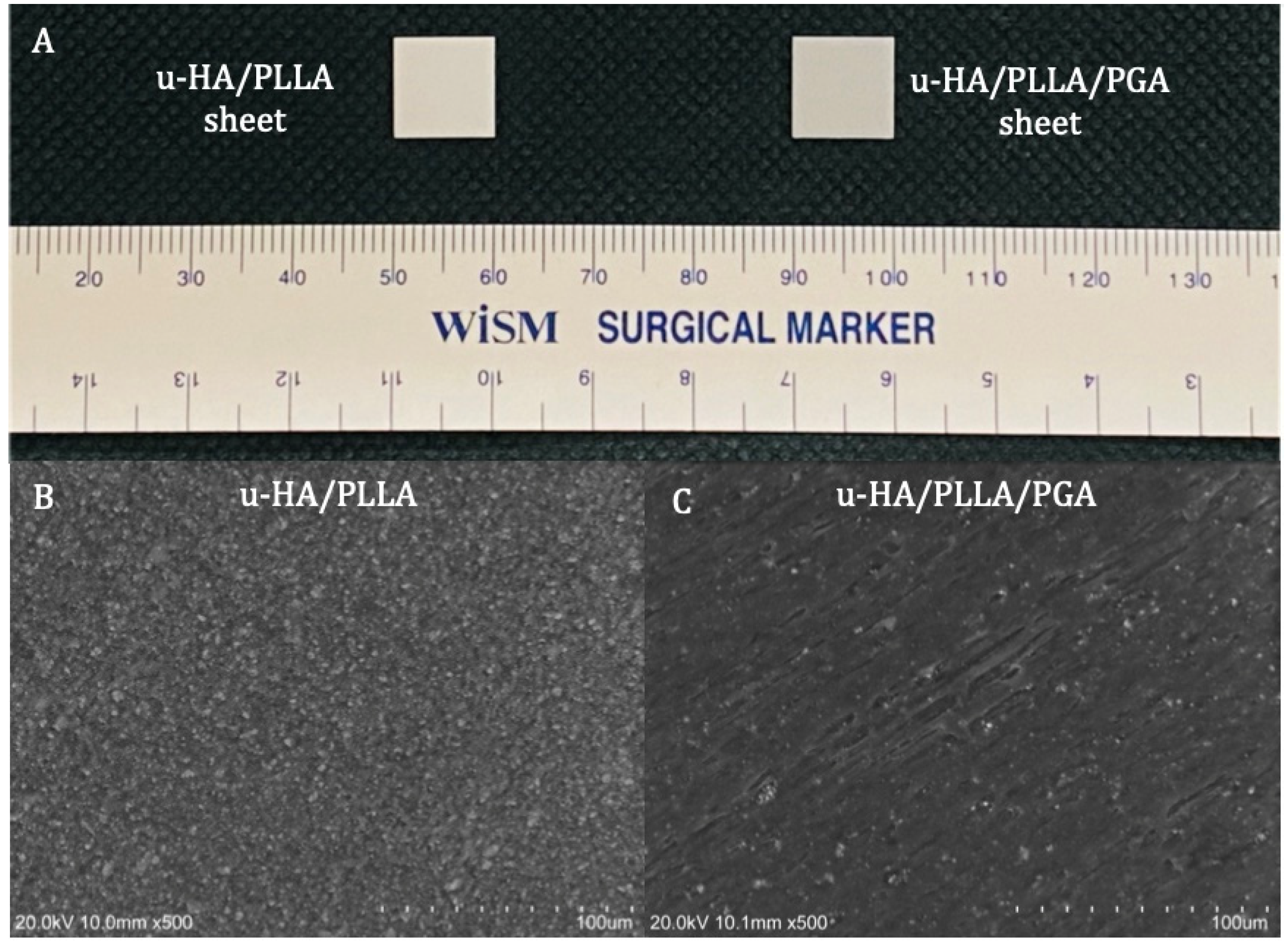 Nanomaterials 11 00022 g001