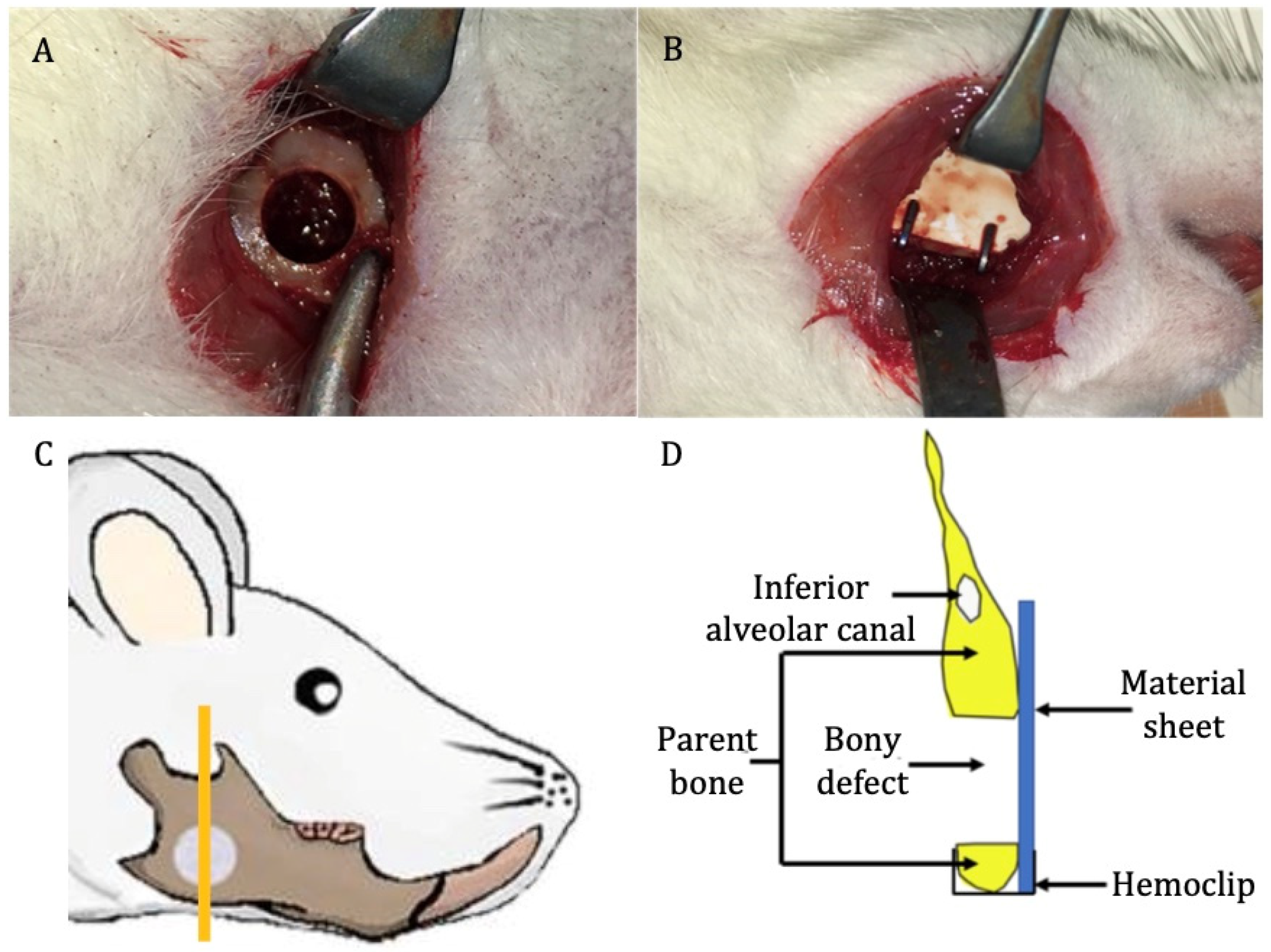 Nanomaterials 11 00022 g002
