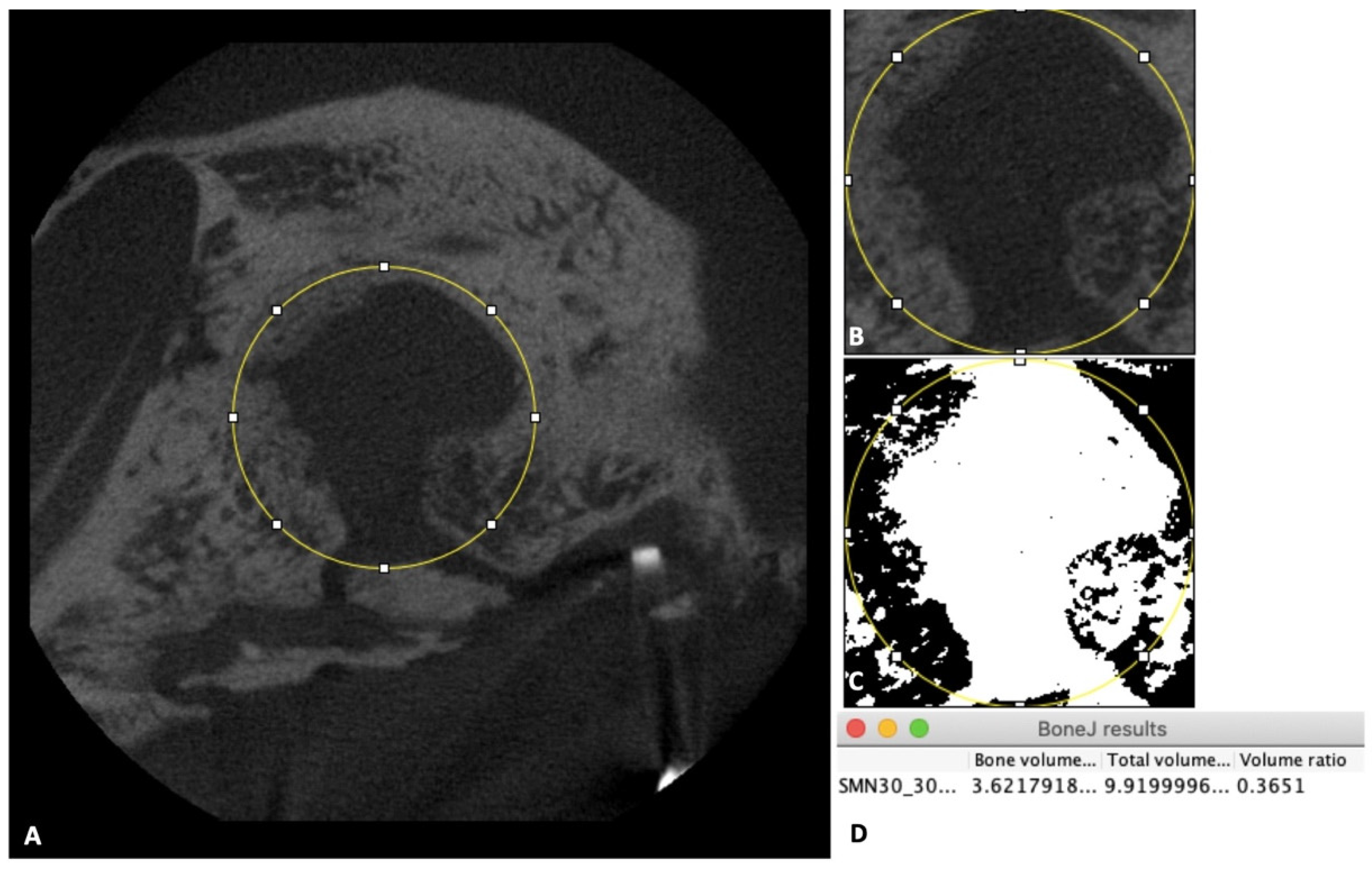 Nanomaterials 11 00022 g003