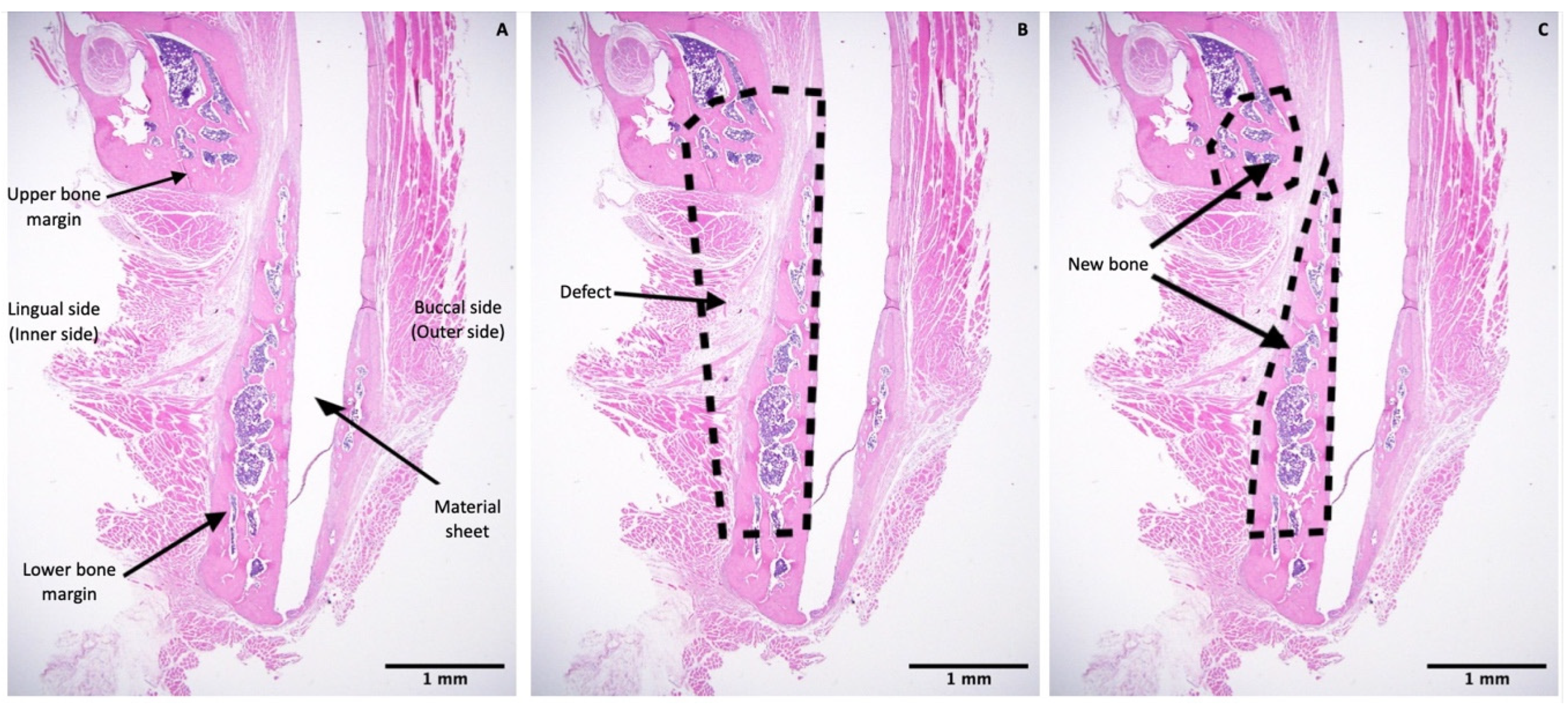 Nanomaterials 11 00022 g004