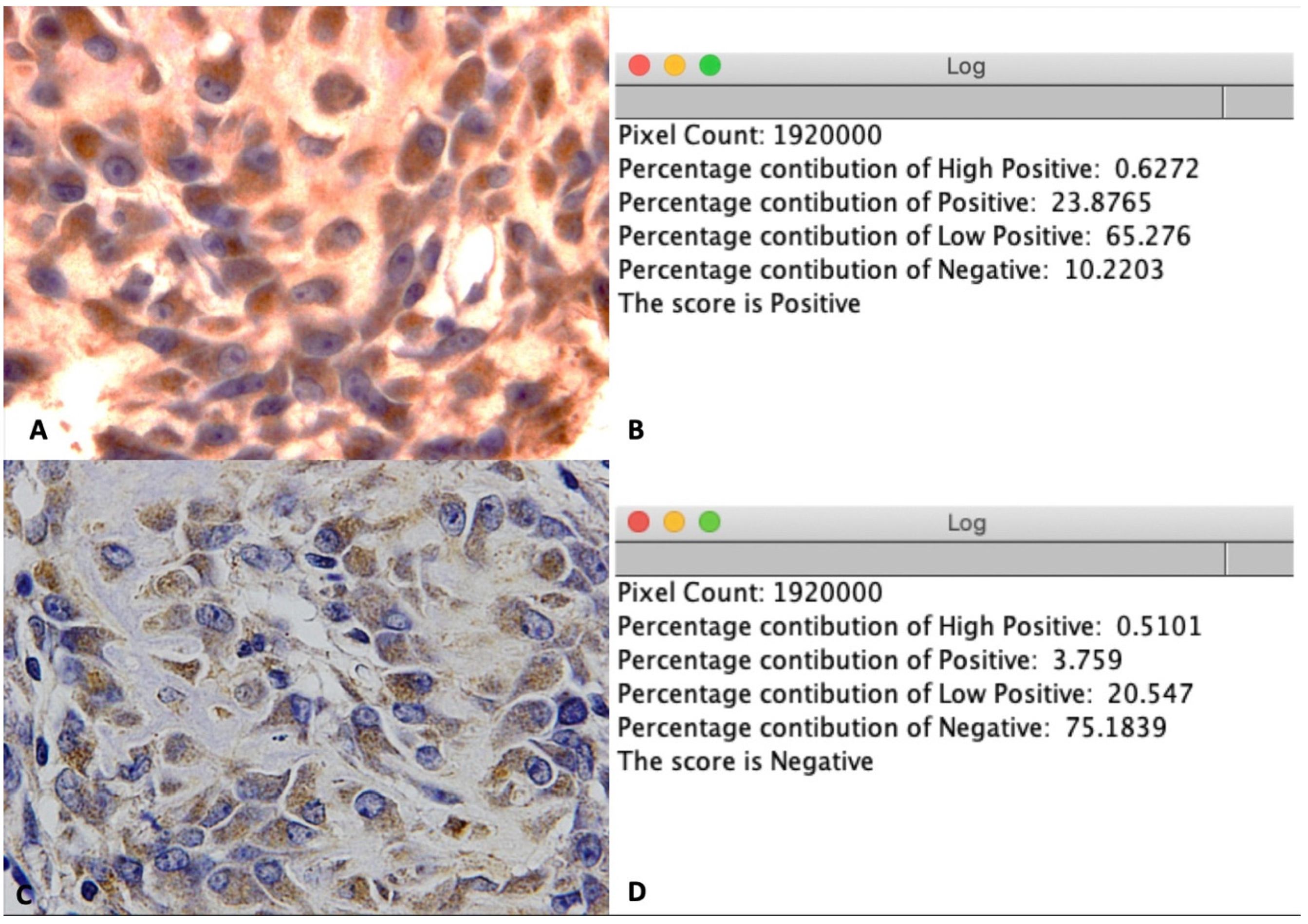 Nanomaterials 11 00022 g005
