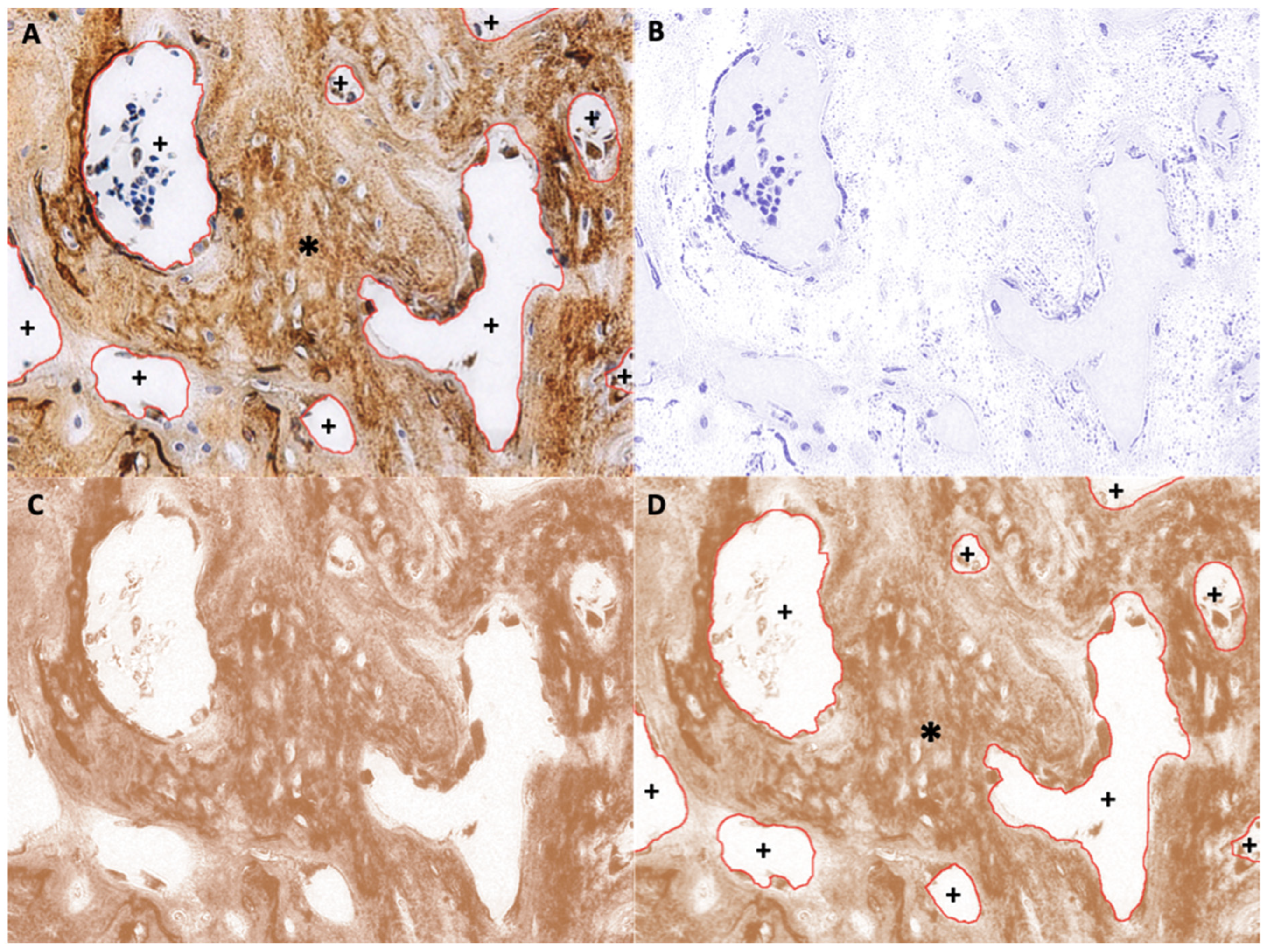 Nanomaterials 11 00022 g006