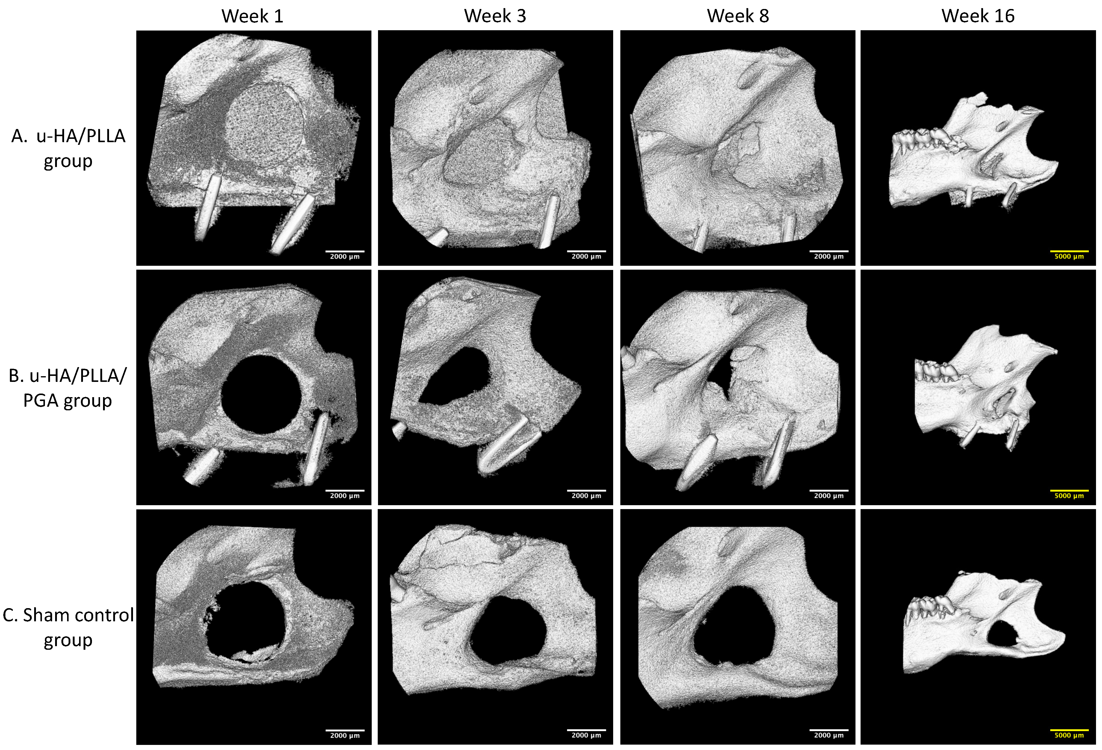 Nanomaterials 11 00022 g007