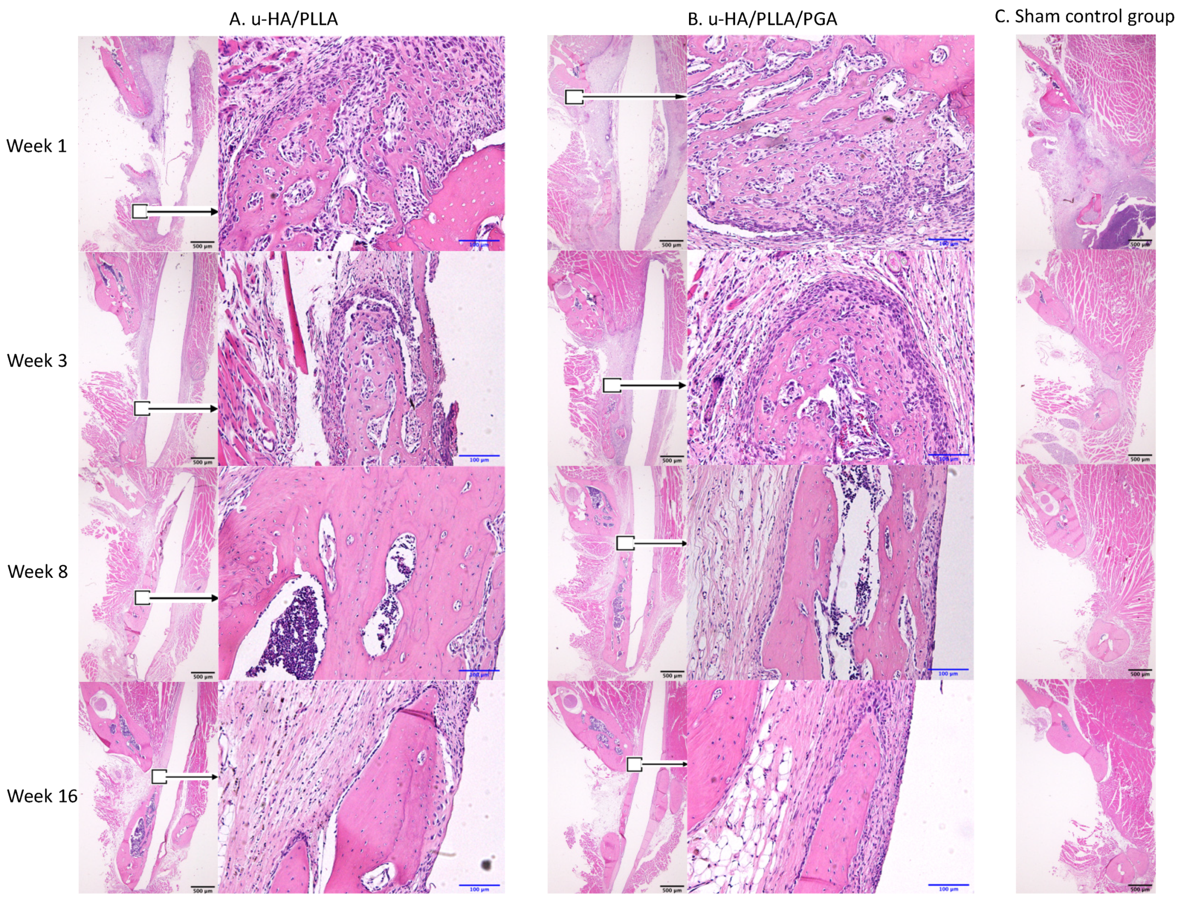 Nanomaterials 11 00022 g009