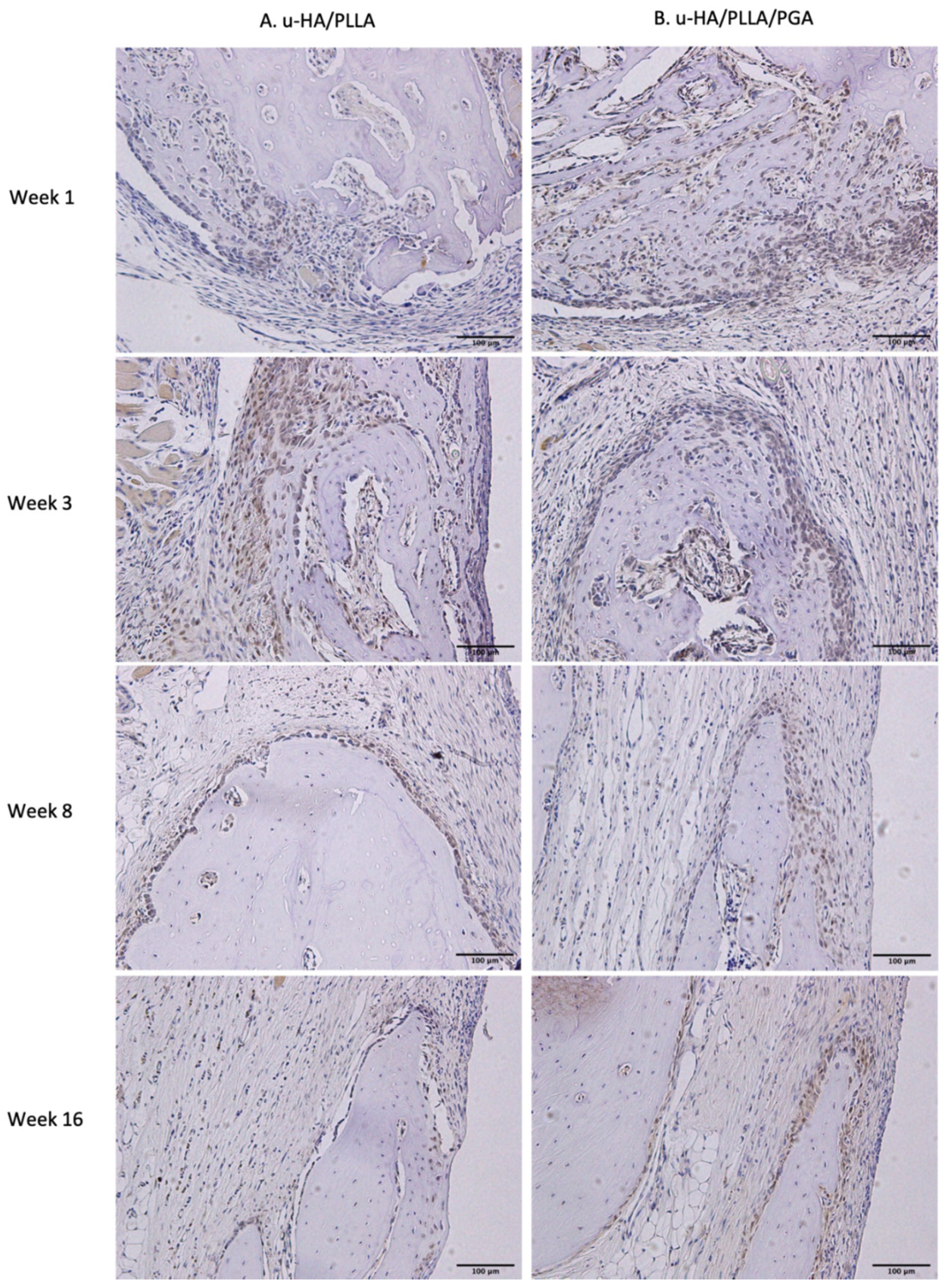 Nanomaterials 11 00022 g012