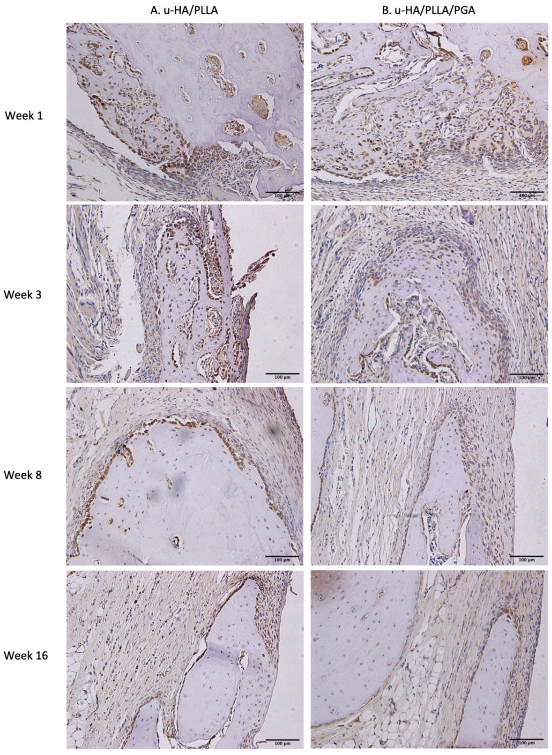 Nanomaterials 11 00022 g013