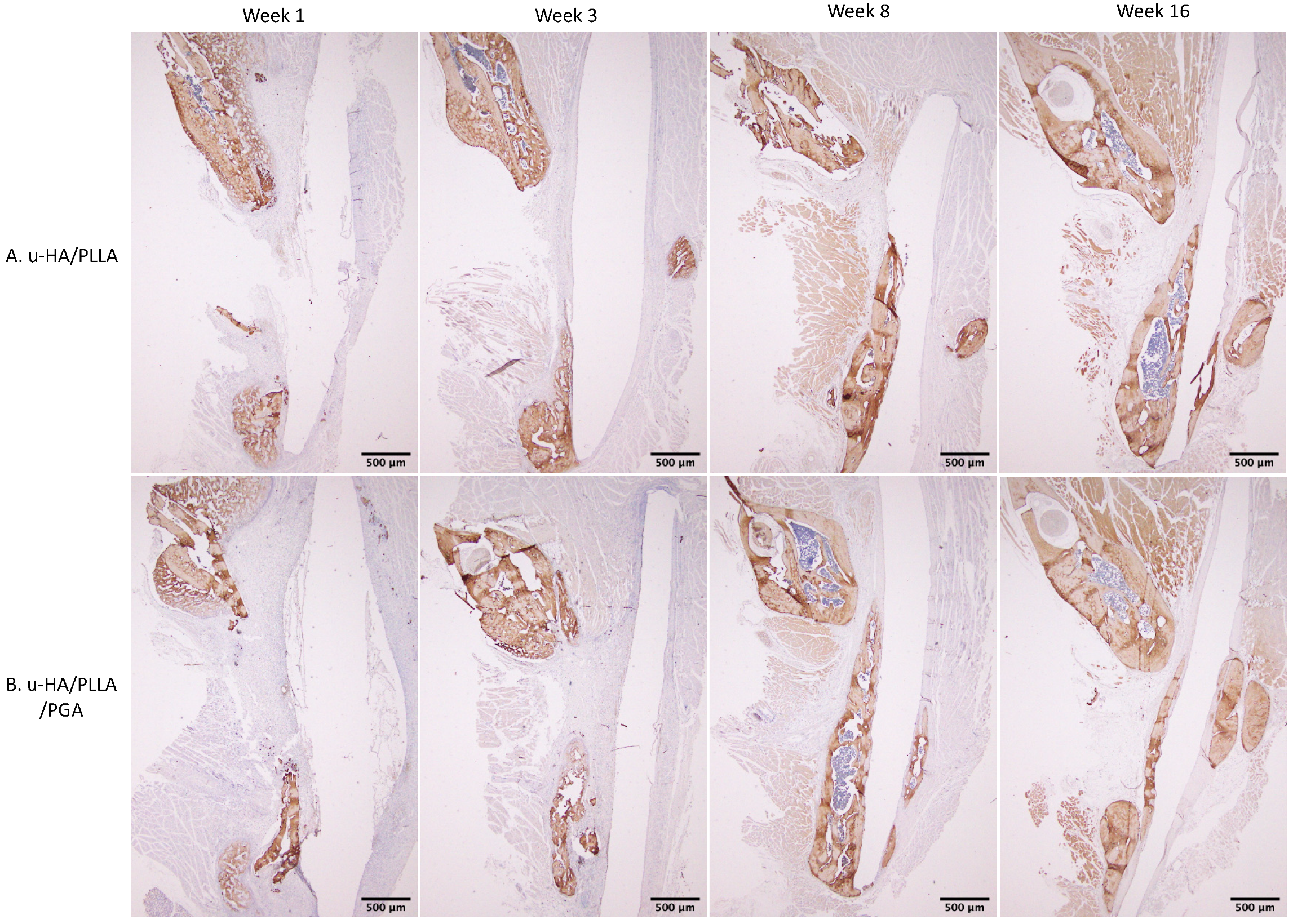 Nanomaterials 11 00022 g015