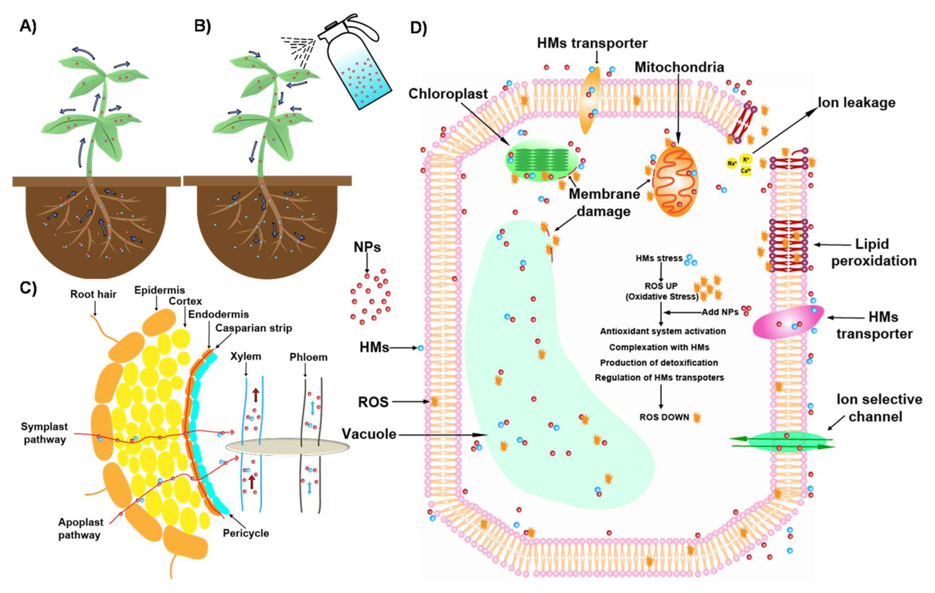 Nanomaterials 11 00026 g004