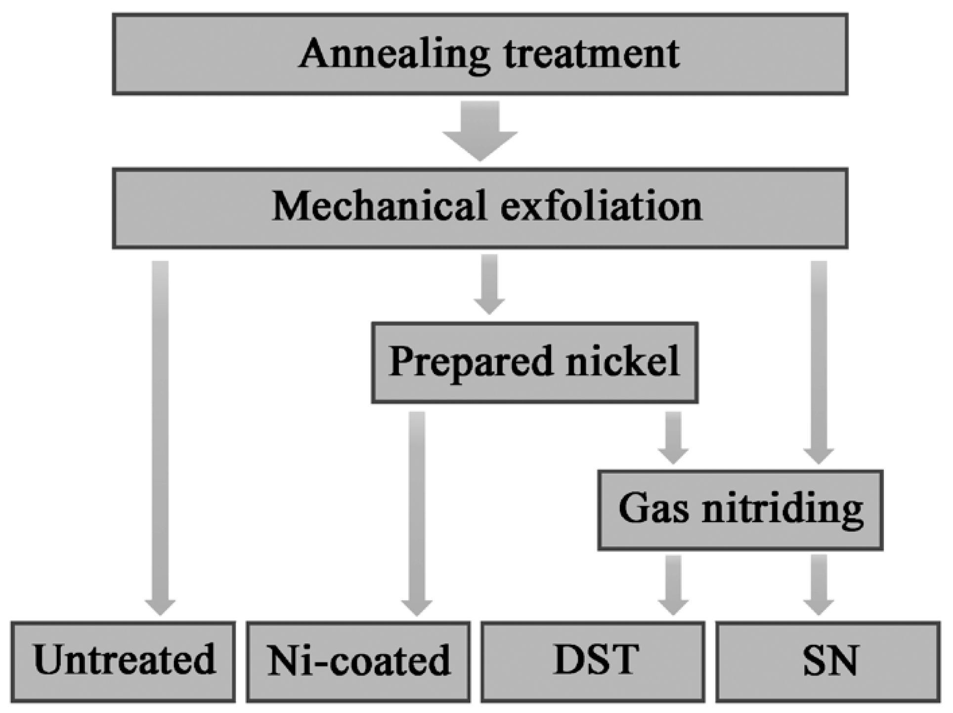 Nanomaterials 11 00031 g001