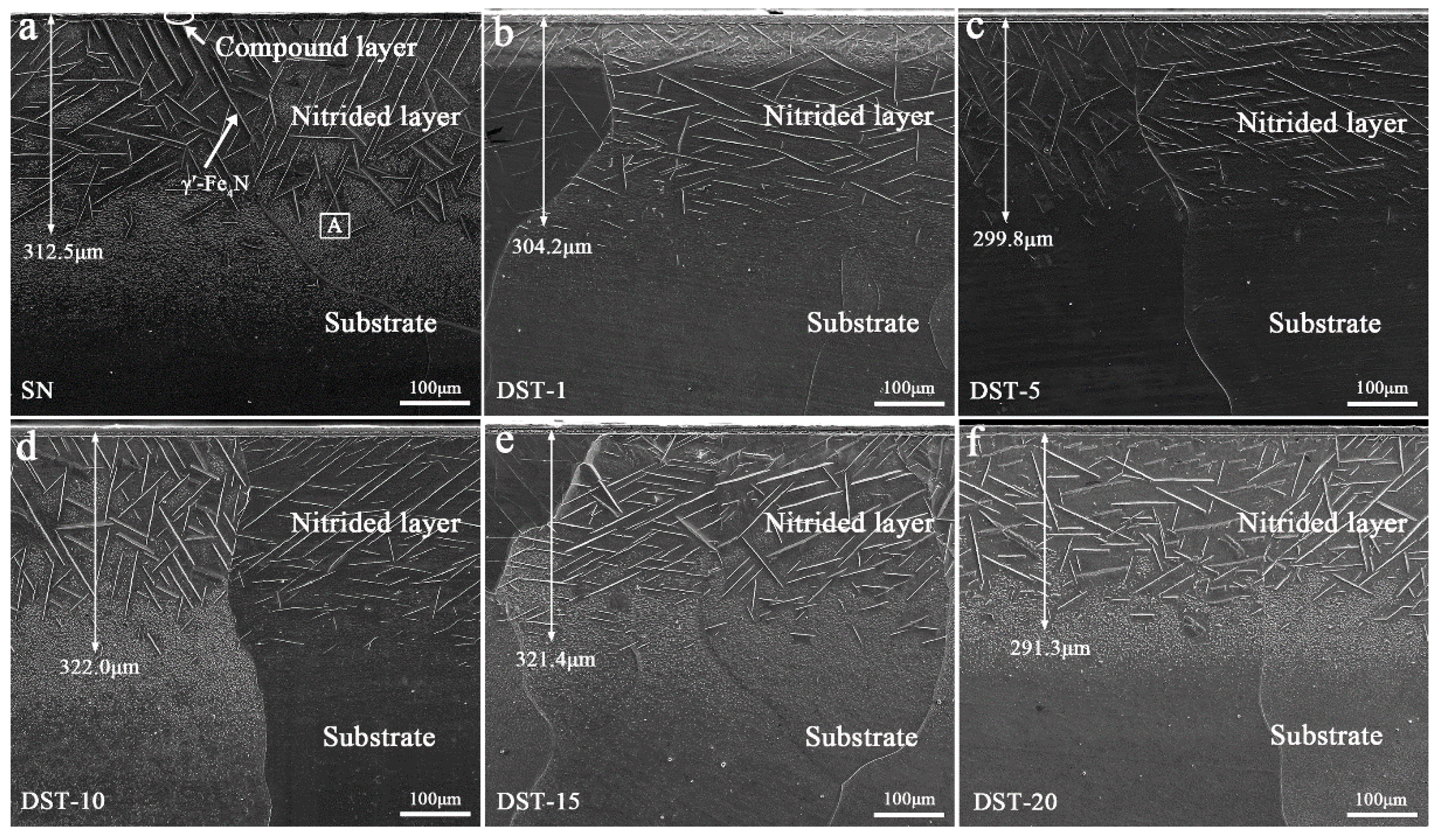 Nanomaterials 11 00031 g003