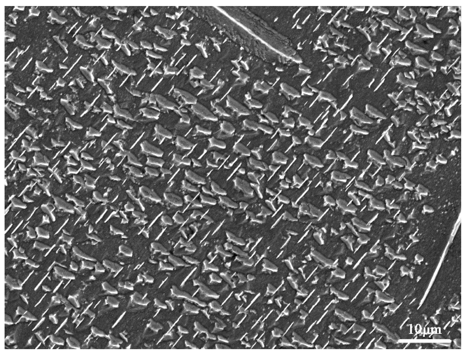 Nanomaterials 11 00031 g004