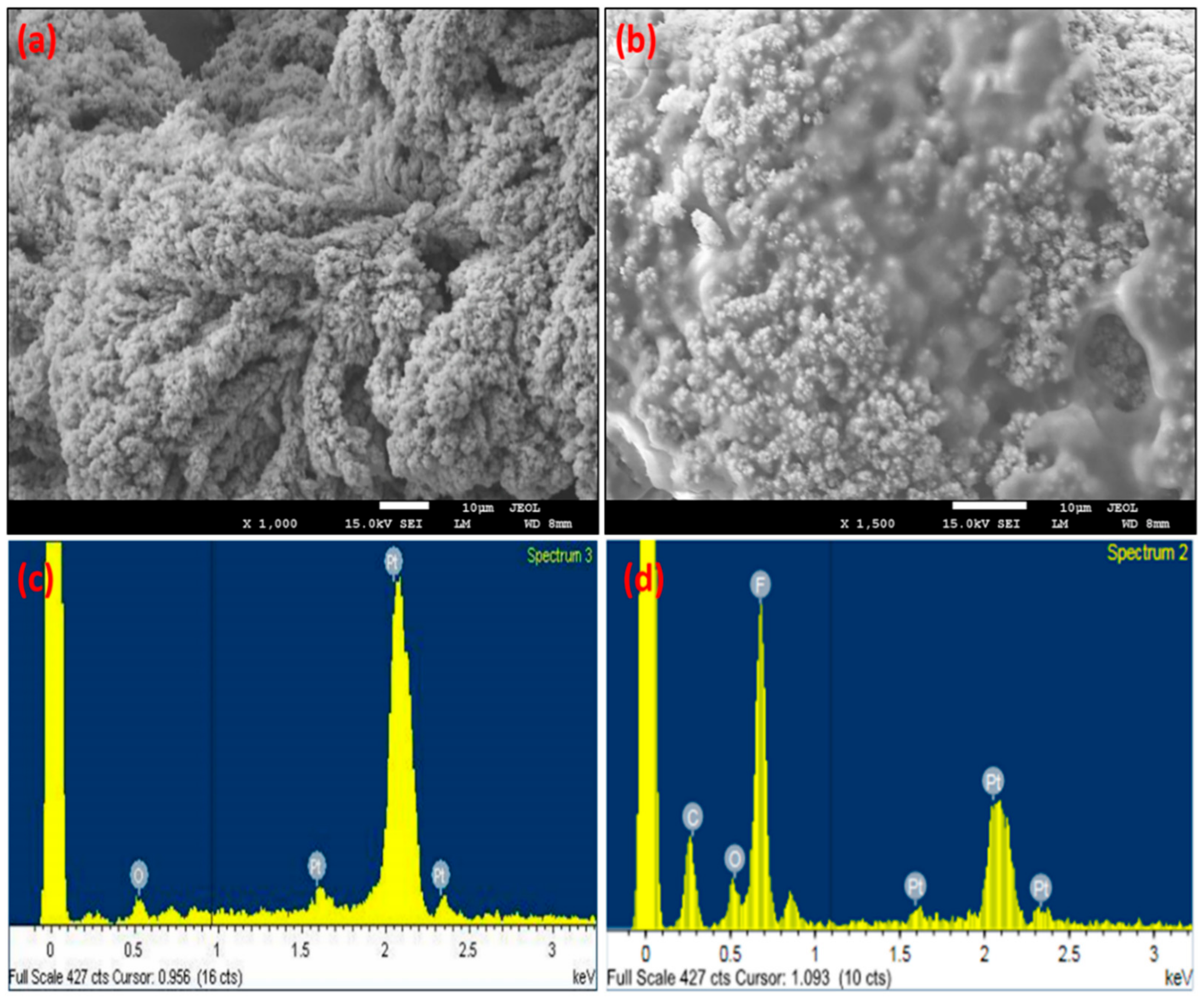 Nanomaterials 11 00037 g002 Nanomaterials 11 00037 g002