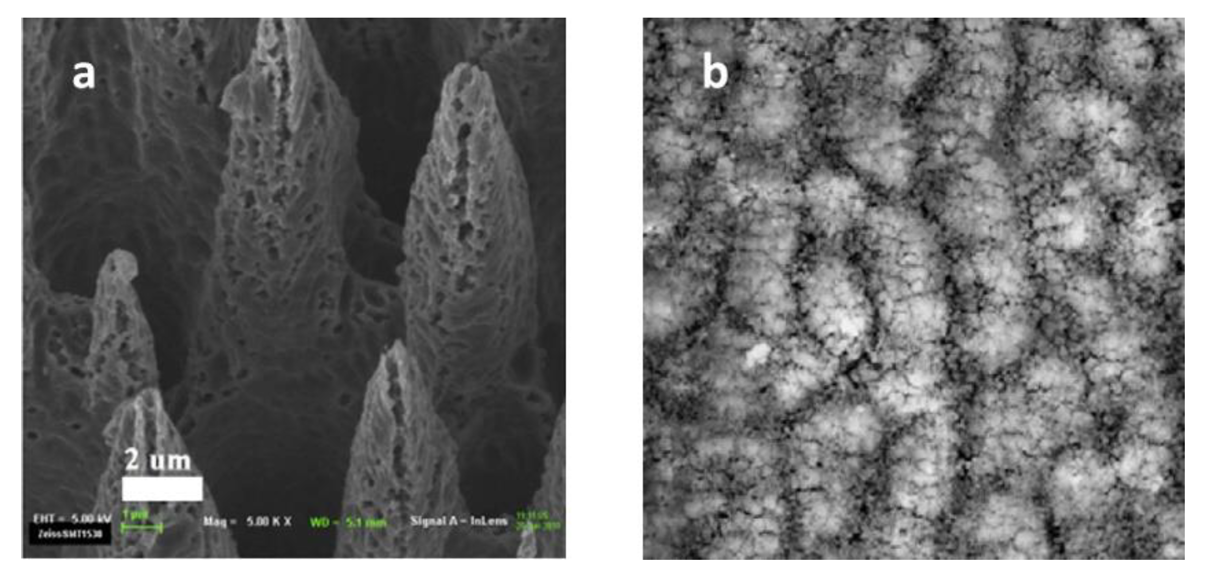 Nanomaterials 11 00041 g004