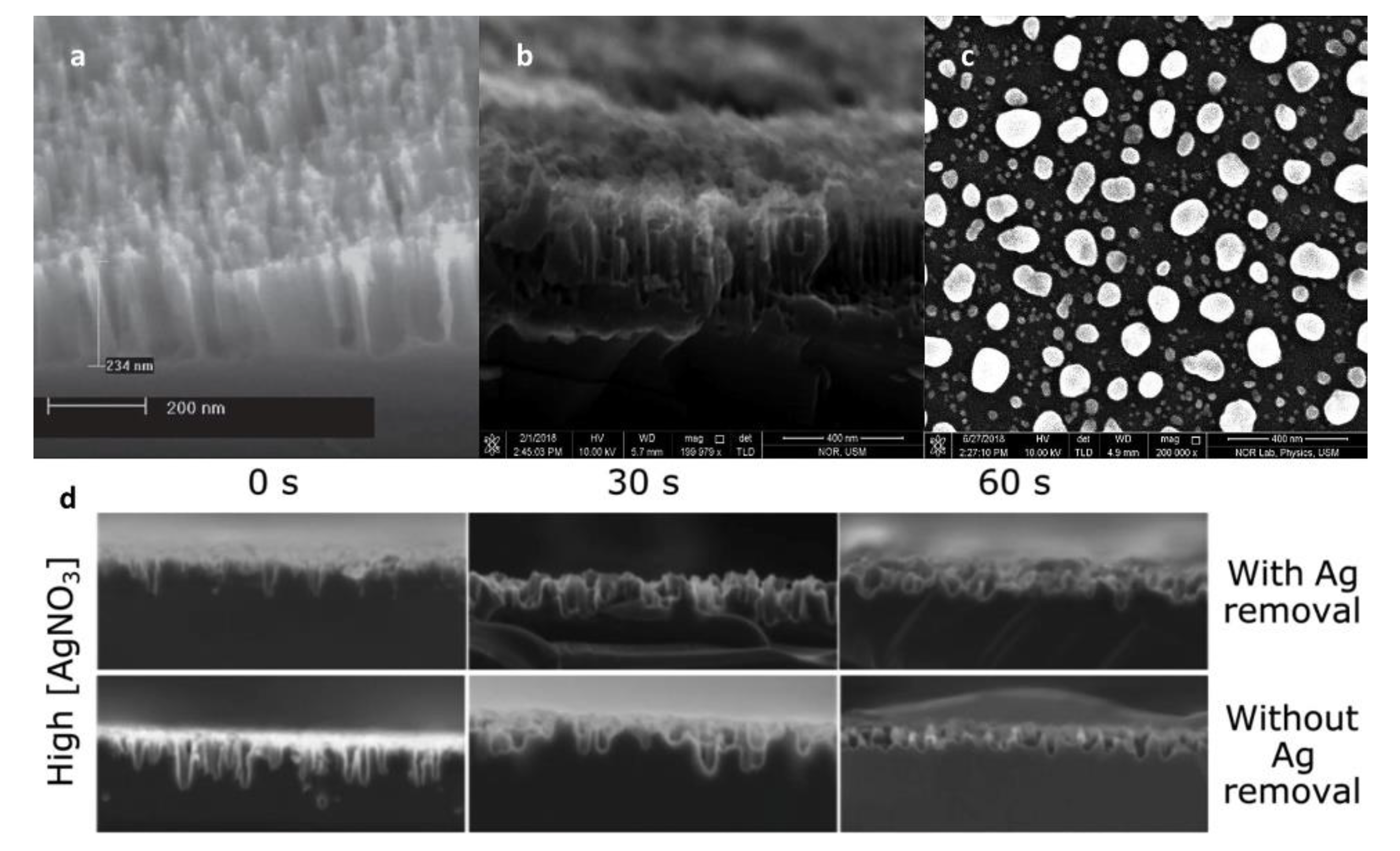 Nanomaterials 11 00041 g006