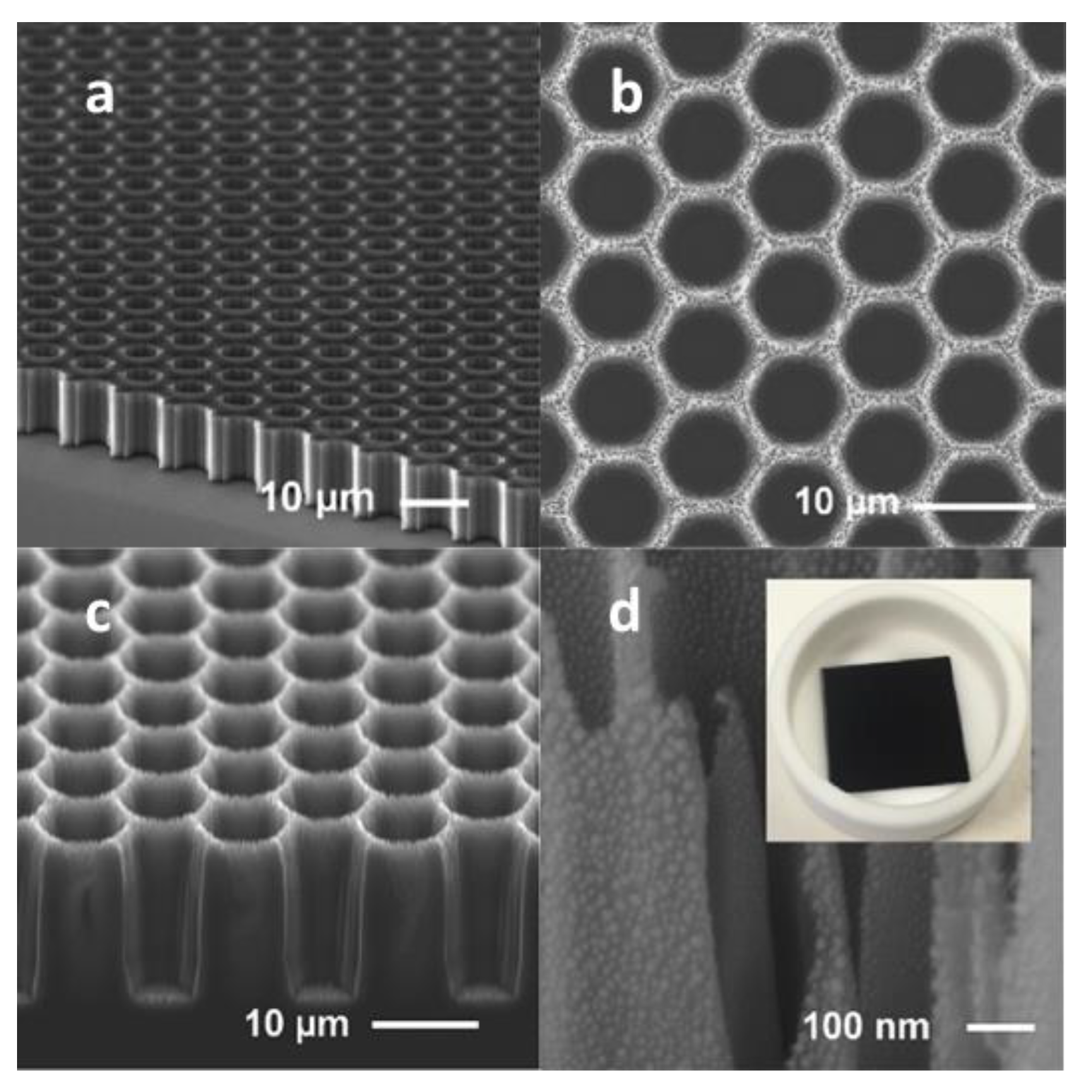 Nanomaterials 11 00041 g007