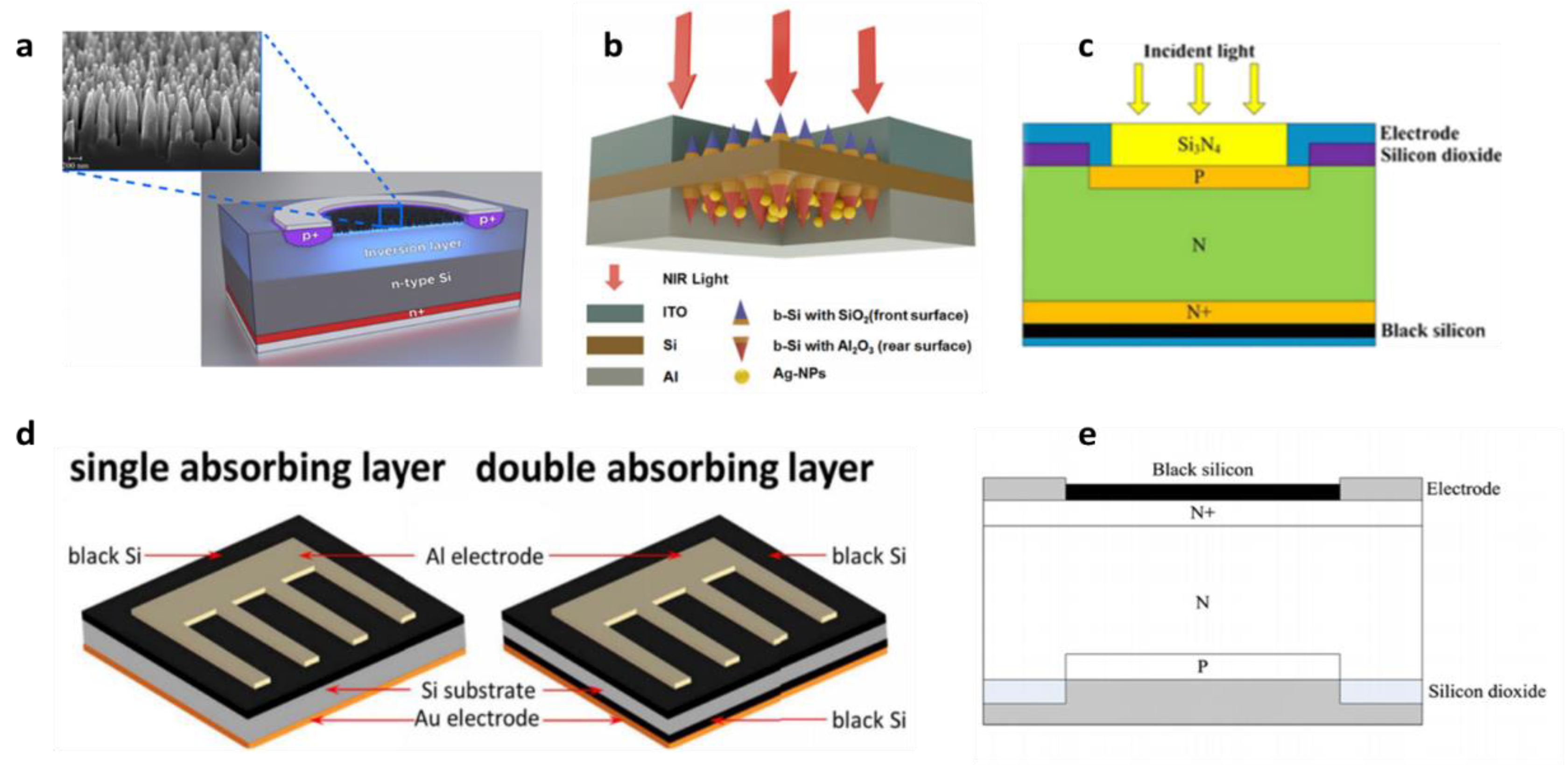 Nanomaterials 11 00041 g010