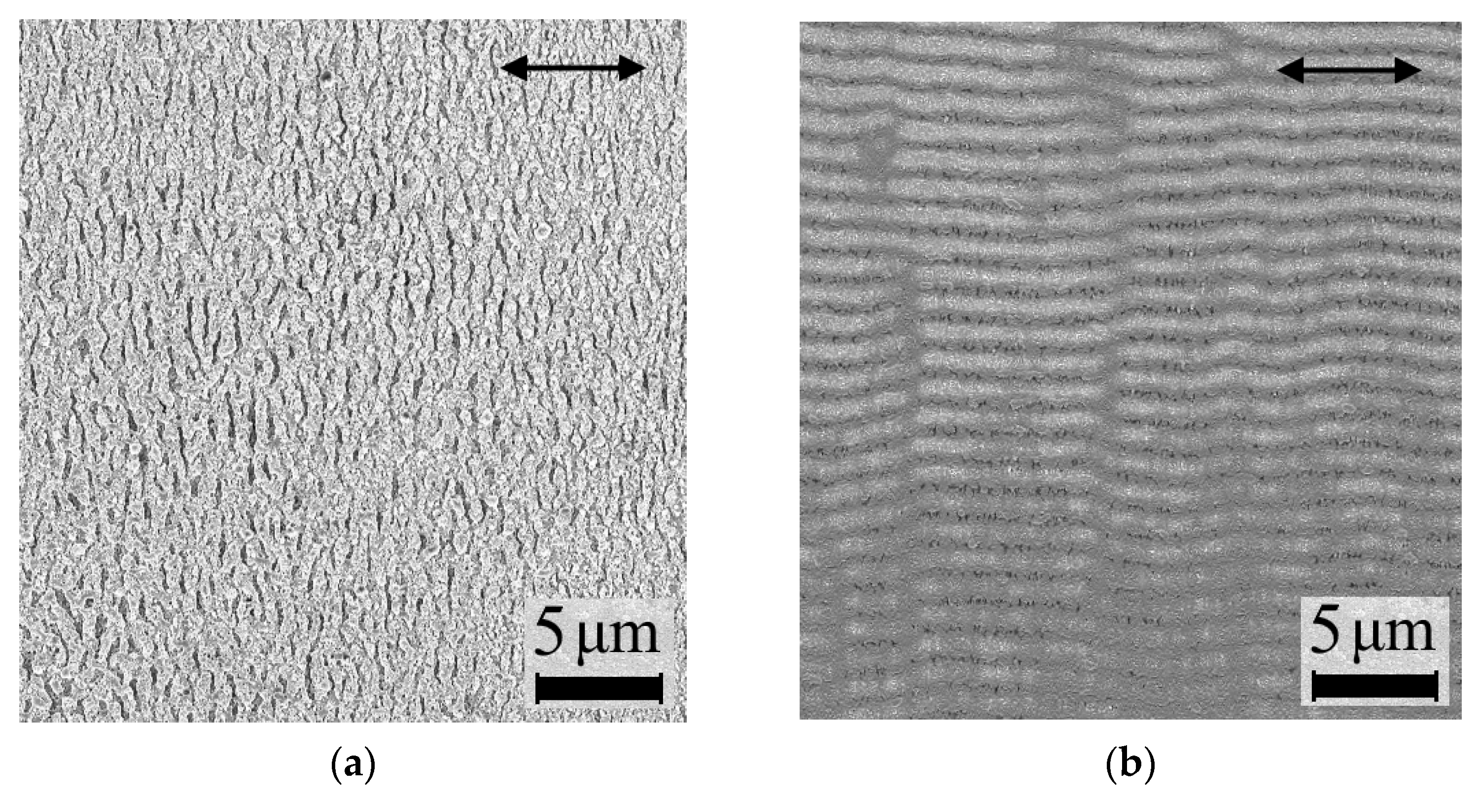 Nanomaterials 11 00042 g002a Nanomaterials 11 00042 g002a