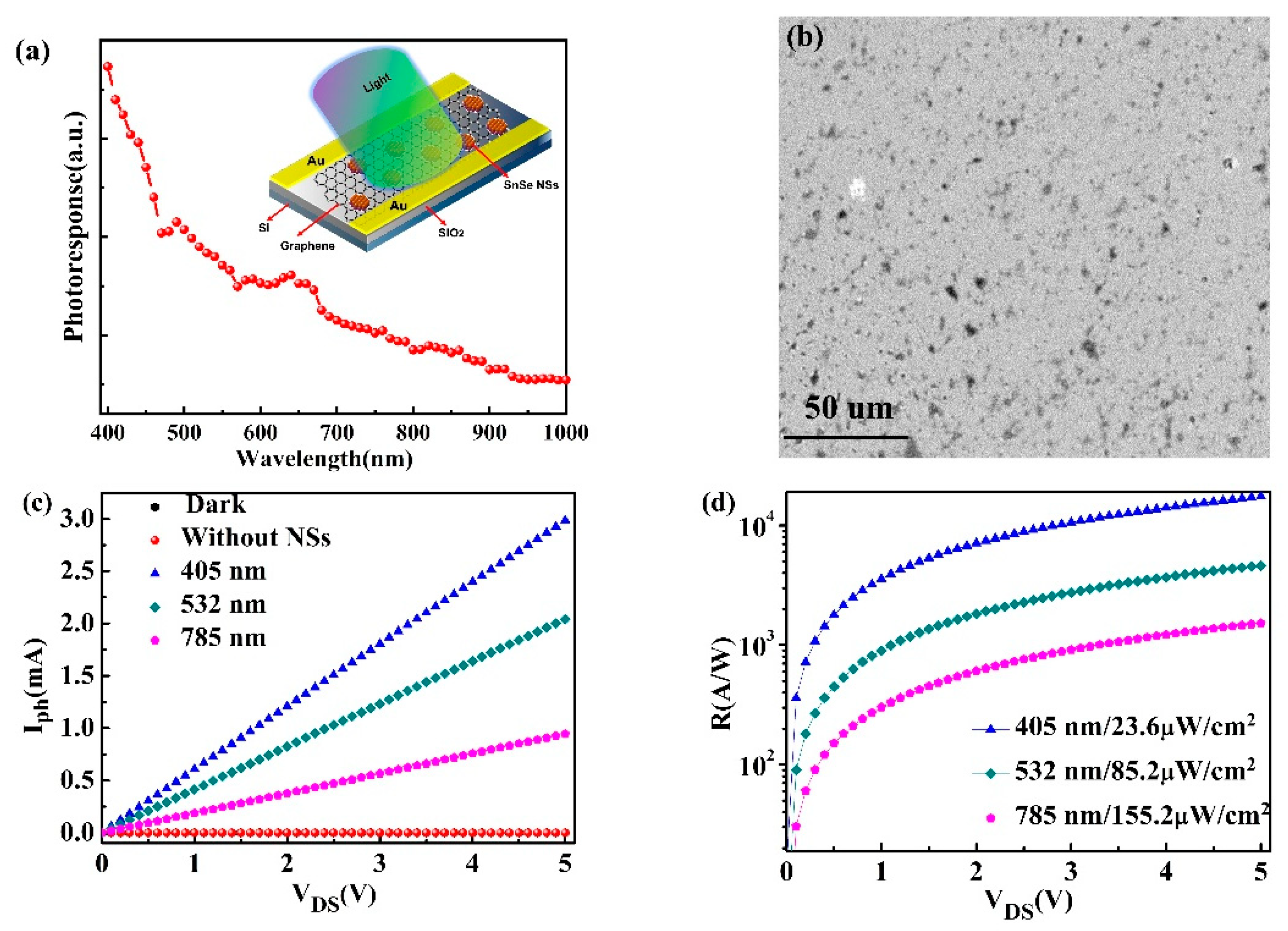 Nanomaterials 11 00049 g005