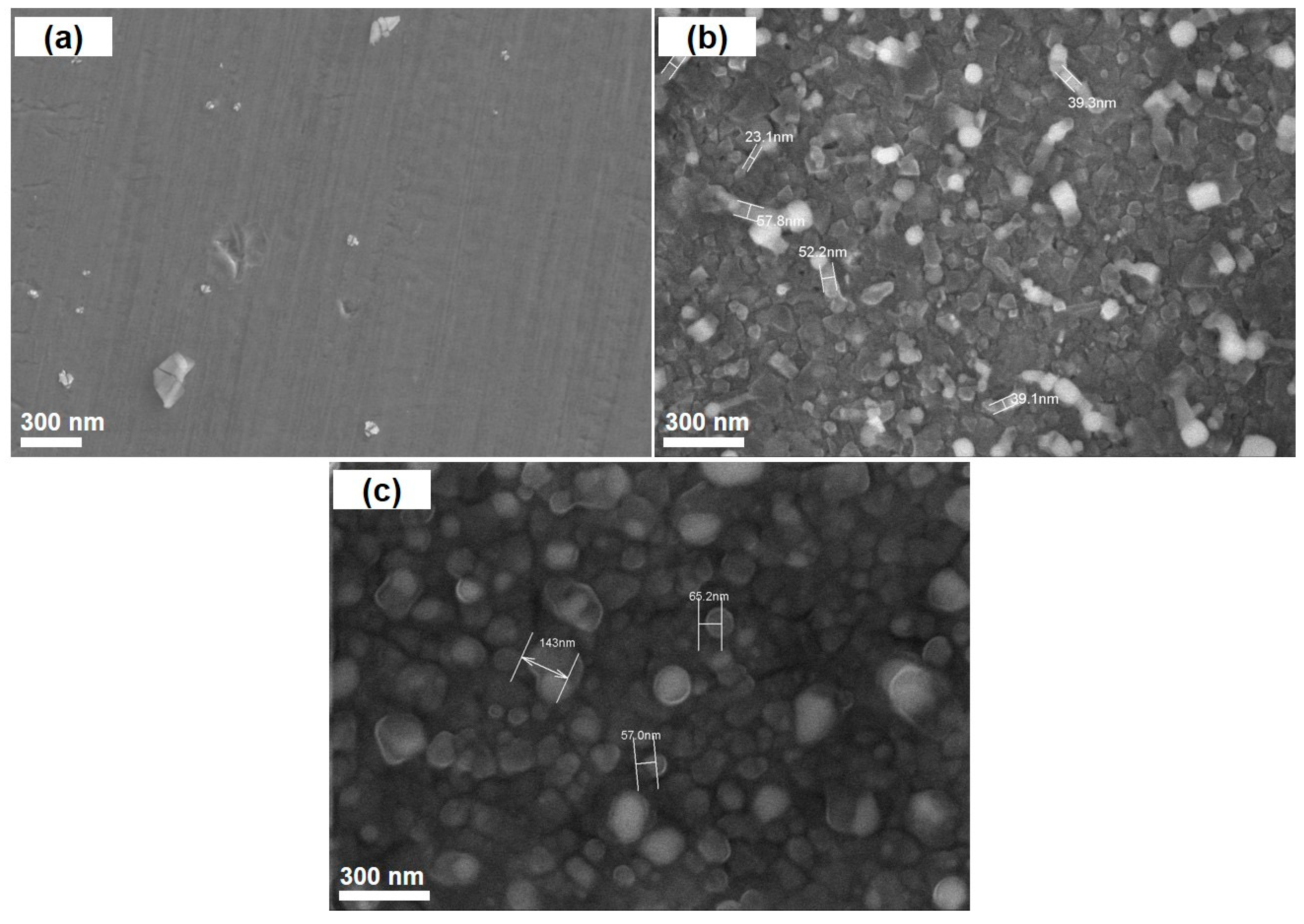 Nanomaterials 11 00050 g002