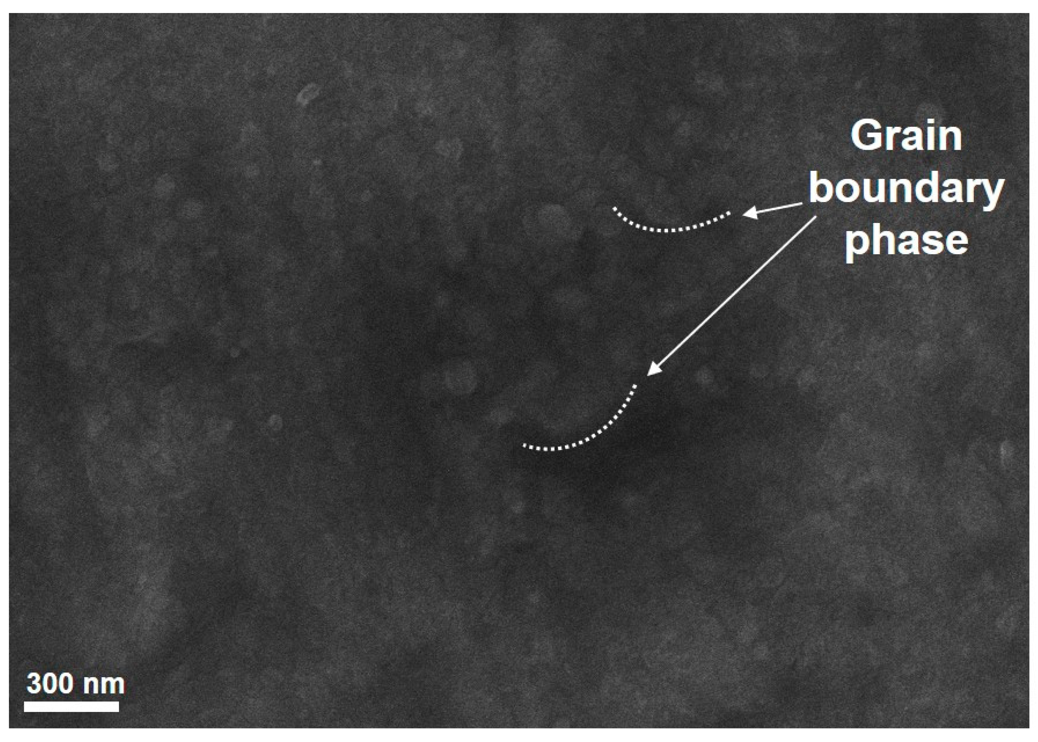Nanomaterials 11 00050 g004