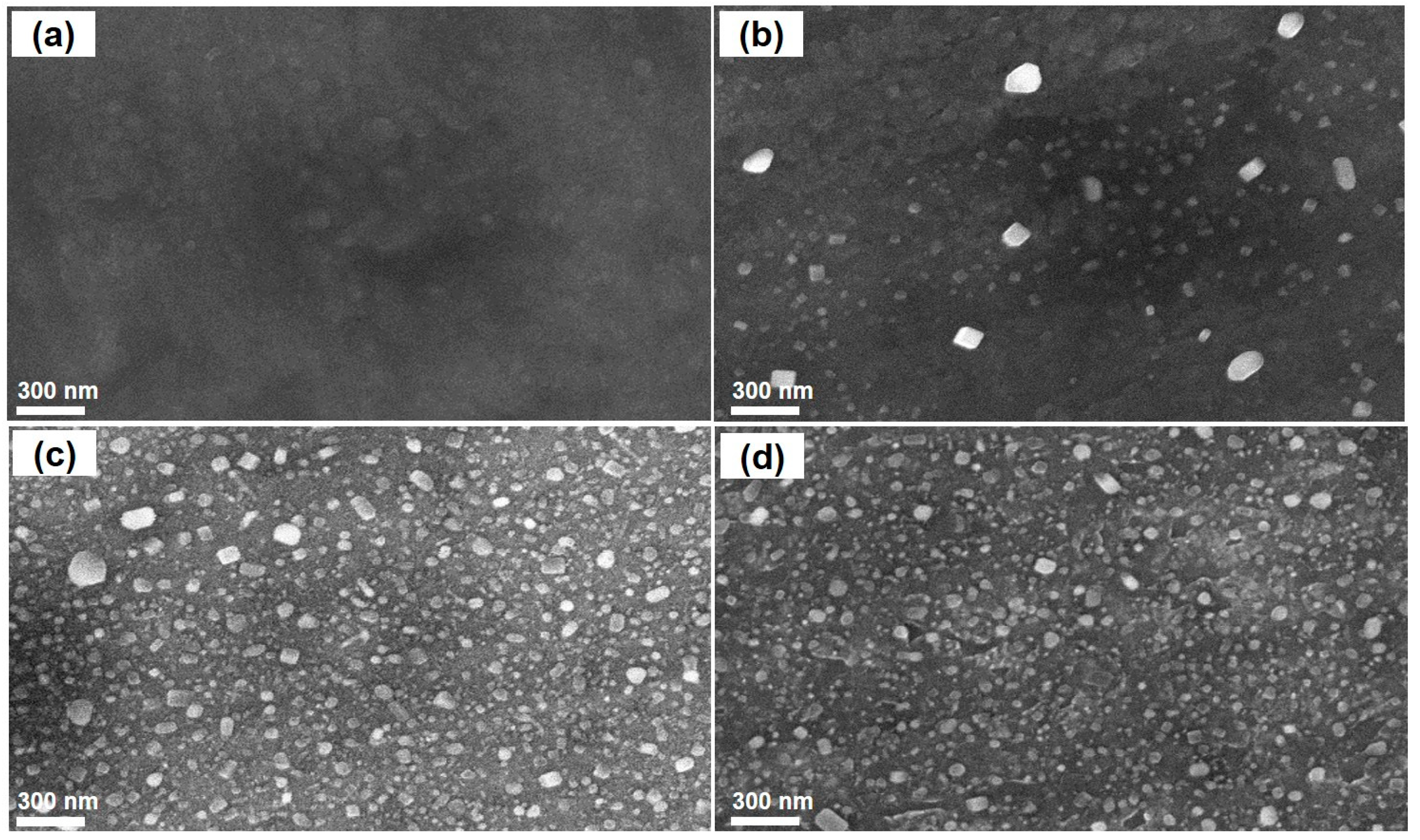 Nanomaterials 11 00050 g005