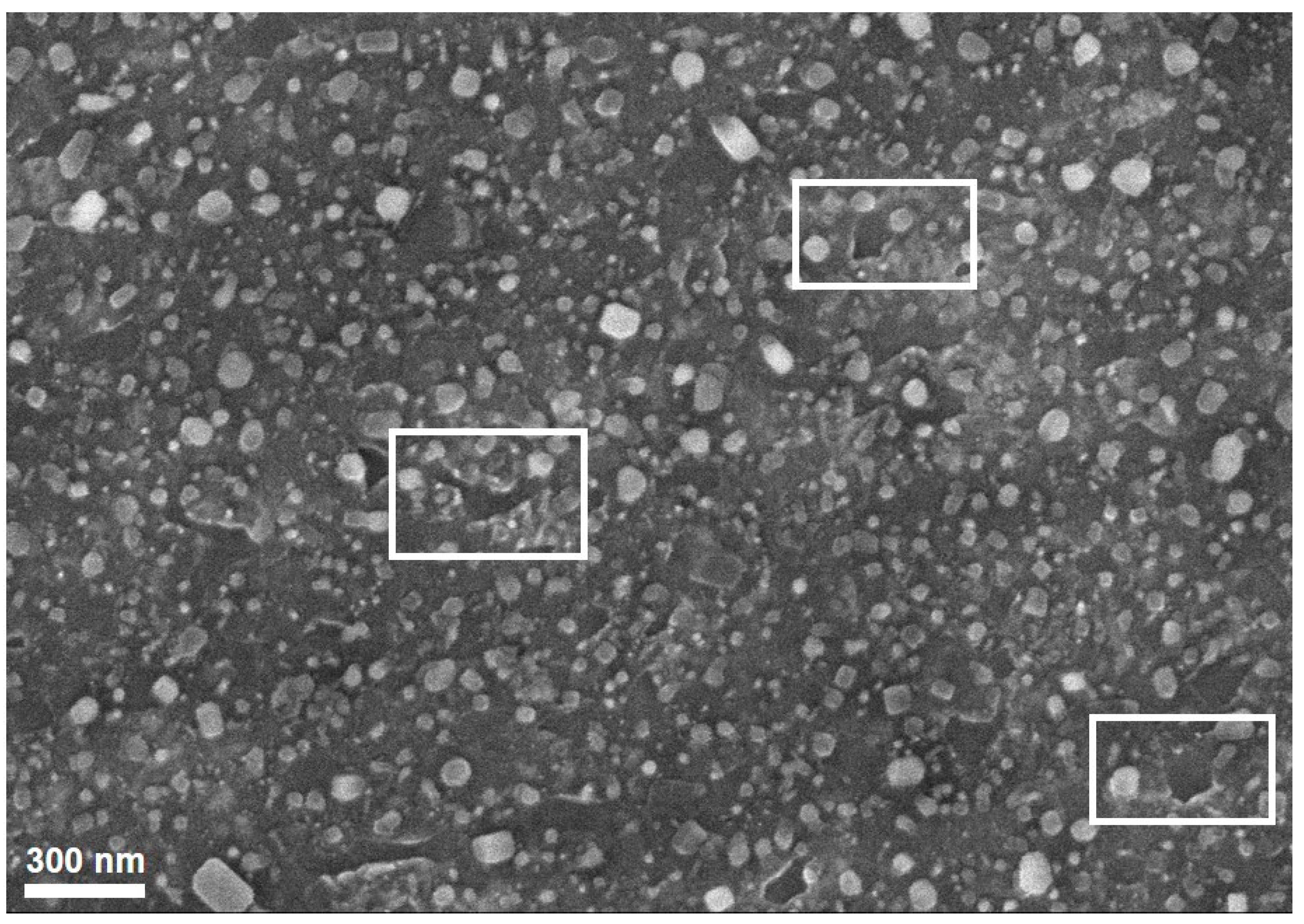 Nanomaterials 11 00050 g007