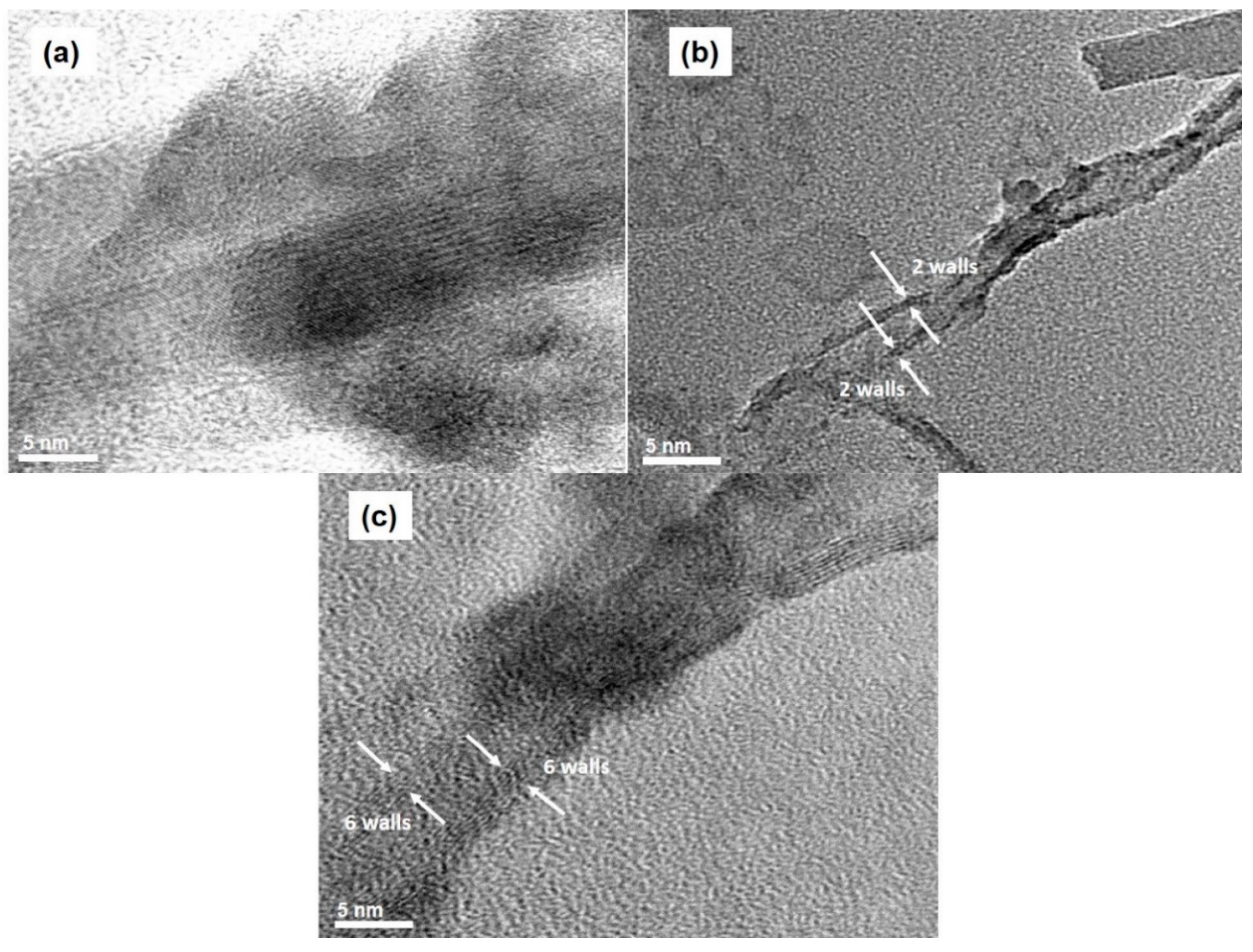 Nanomaterials 11 00050 g012
