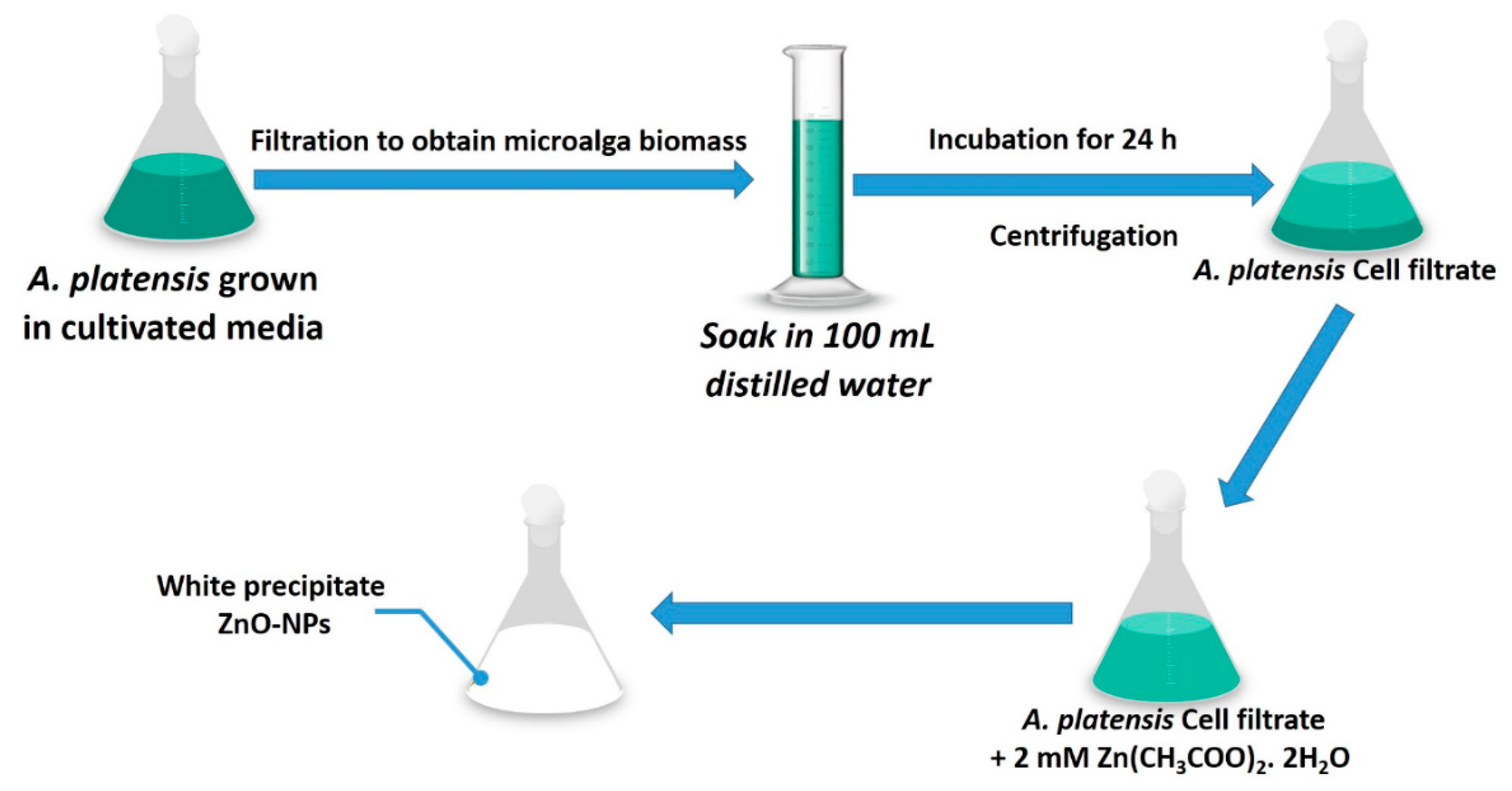 Nanomaterials 11 00095 g002